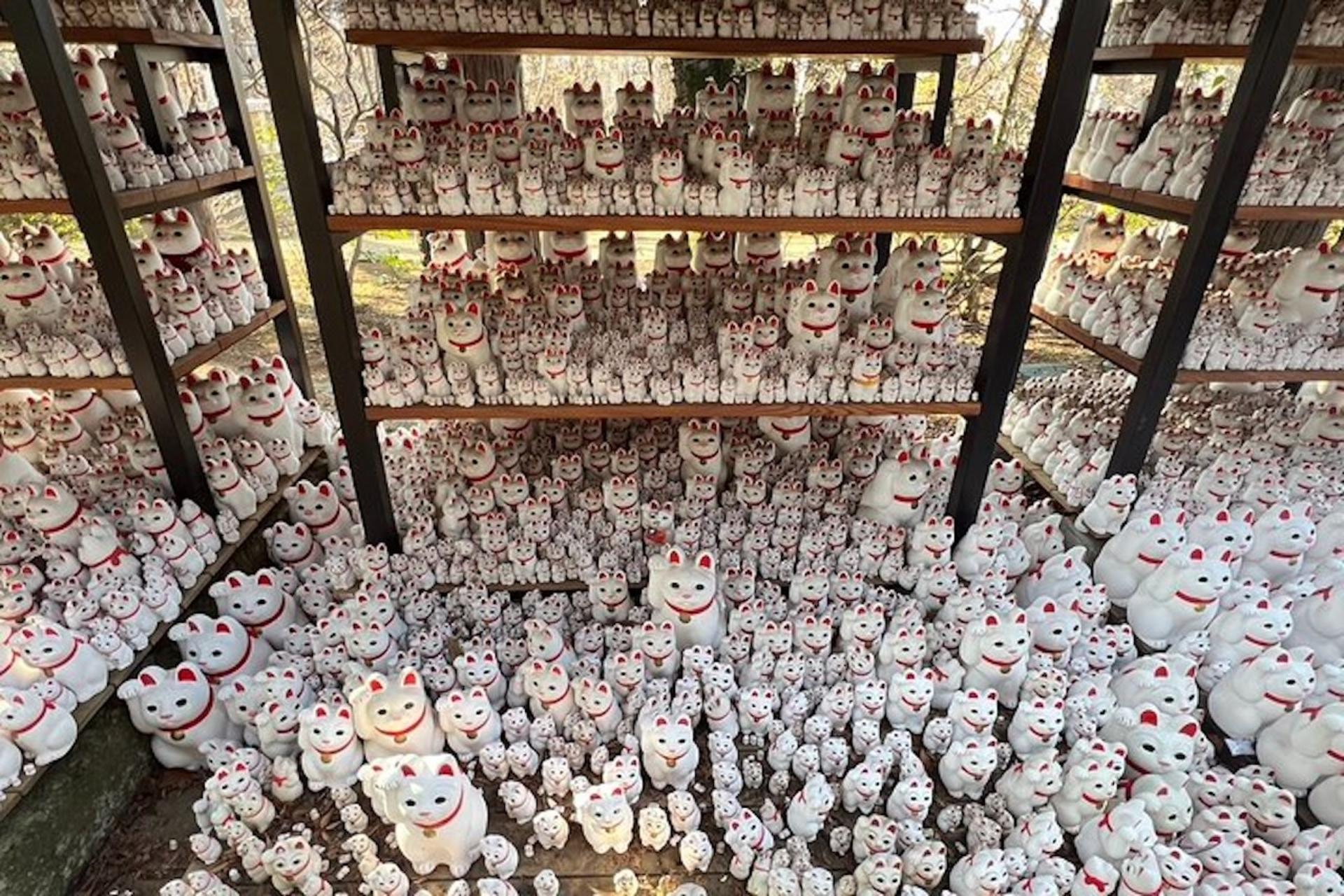 Tokyo: An Unique Temple Walking Tour for Cat Lovers - Image 1