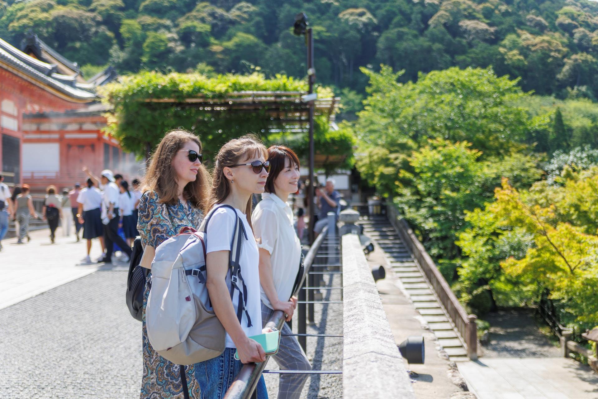 Kyoto Private Tour: Custom Highlights with a Licensed Guide - Thumbnail 13