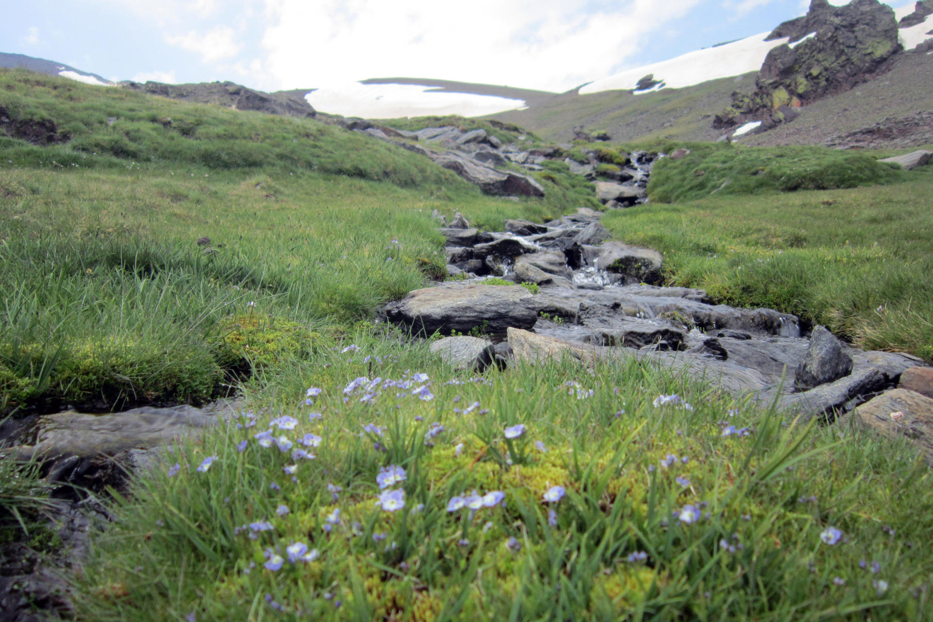 Sierra Nevada One Day Tour from Granada - Thumbnail 8