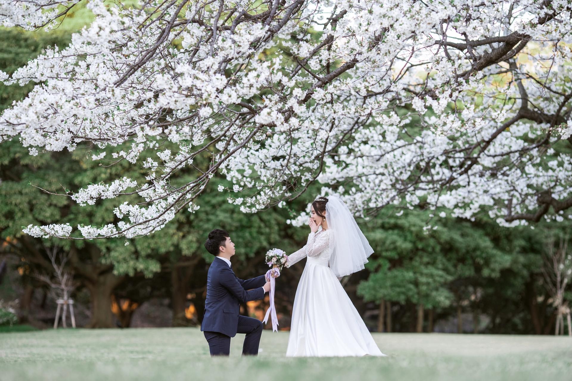 Tokyo: Wedding Dress & Kimono One-Day Photography (location is optional) - Thumbnail 103
