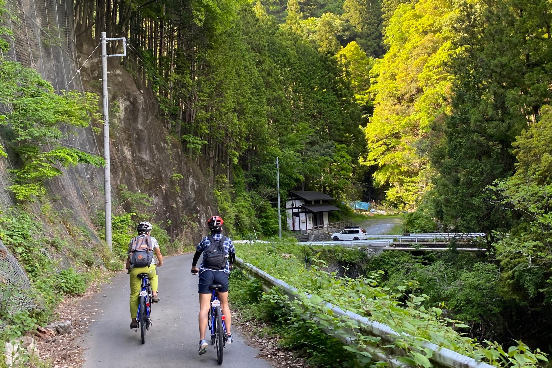 Tokyo Okutama Mountain Half-Day Cycling Adventure with Wasabi Tasting - Thumbnail 5