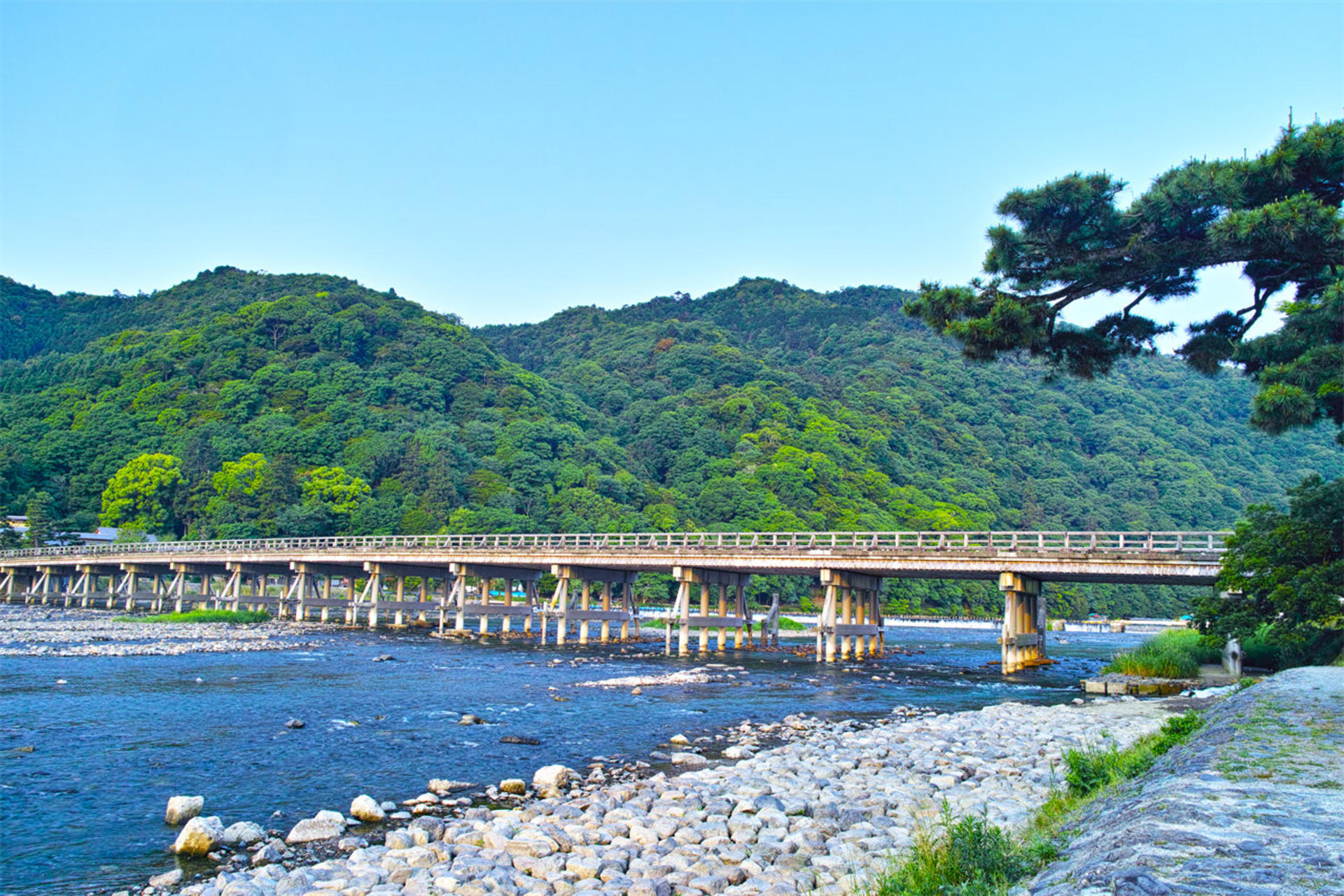 Kyoto Sanzen-in, Kifune Shrine, and Arashiyama Small Group Day Tour (Driver-Guide Service) - Thumbnail 10
