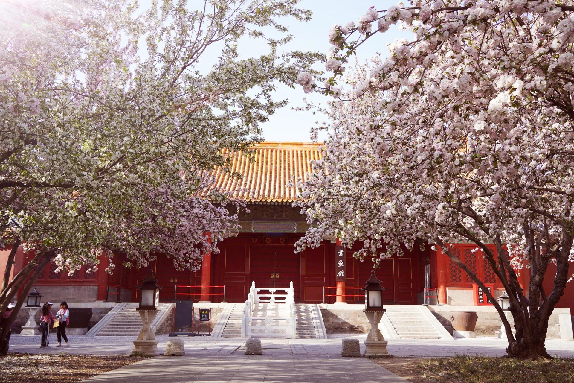 Beijing Mutianyu Great Wall & Forbidden City  Day Tour - Thumbnail 24