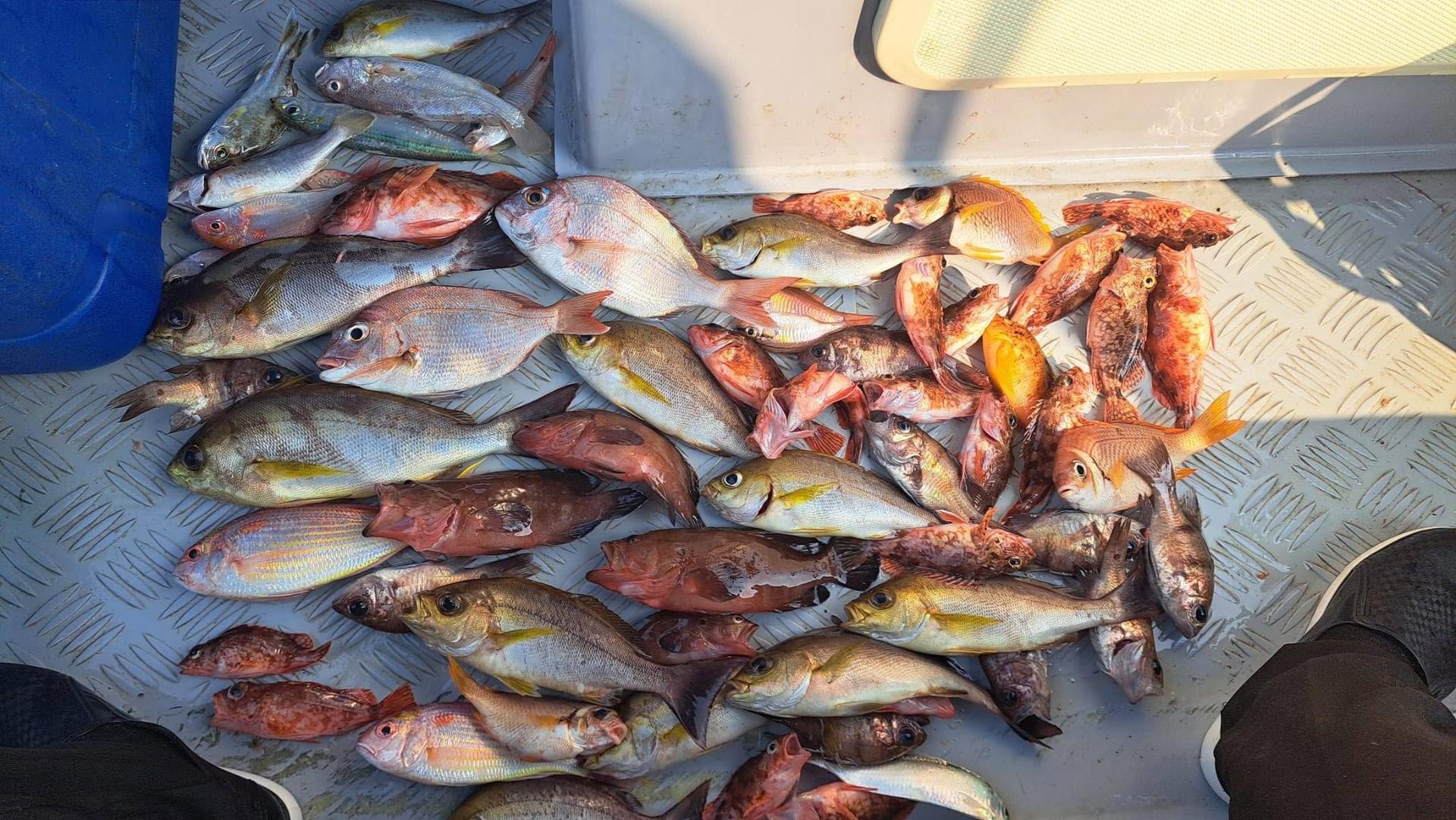 Ji Son Fishing Hong Kong Water Private Boat Fishing Group - Thumbnail 13