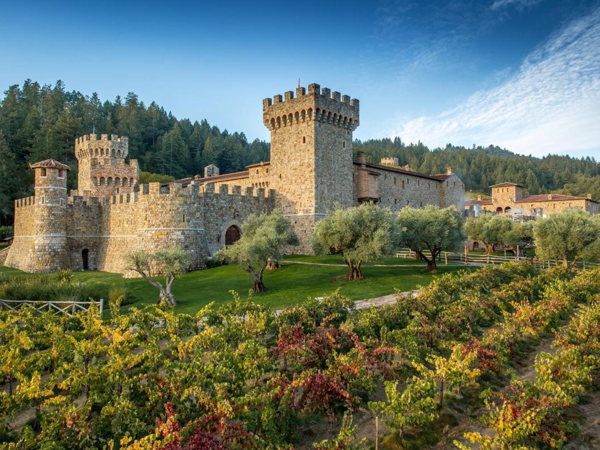 Napa Valley Wine and Food Tasting Tour from San Francisco - Image 1