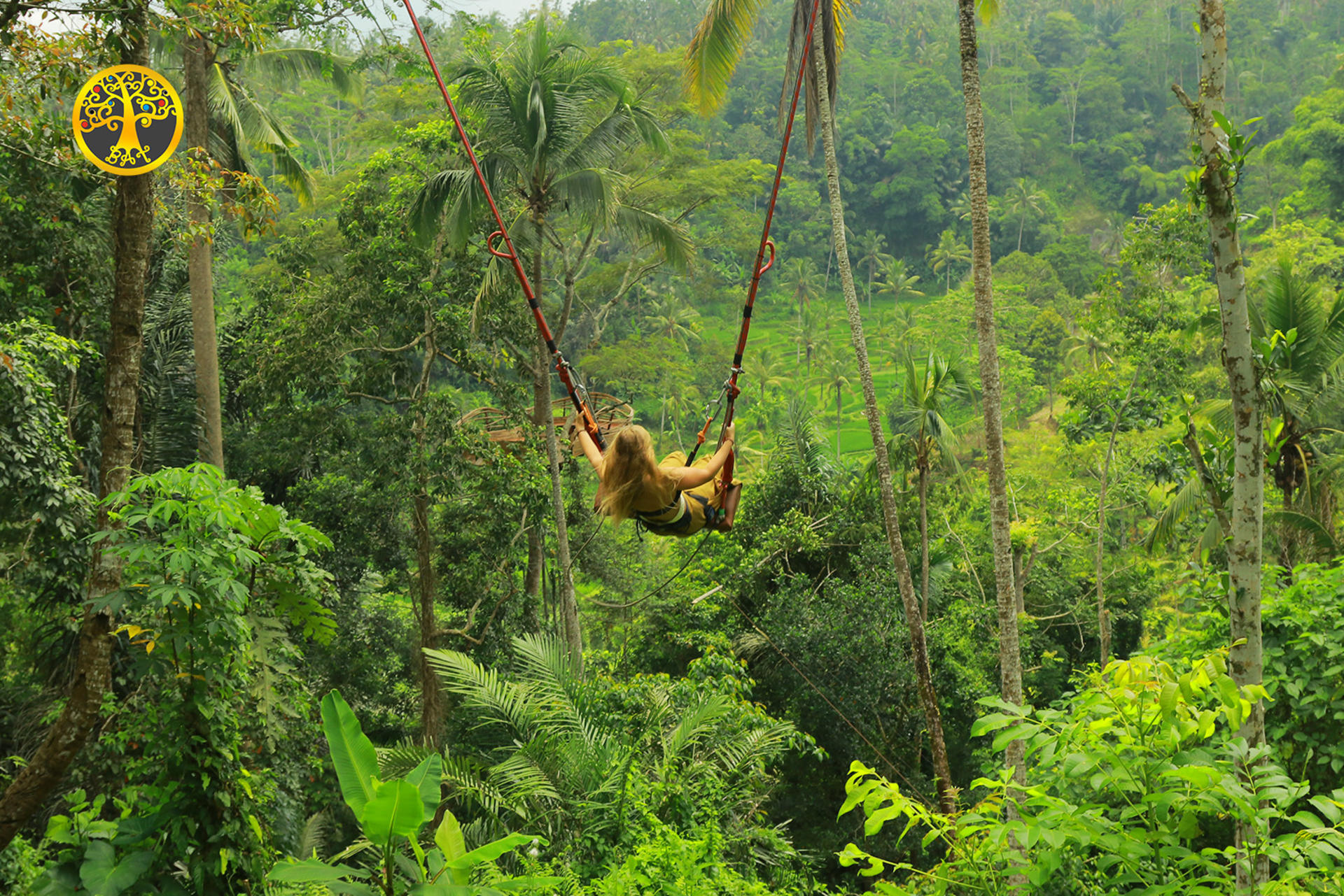 Ubud Nature Walk with Flying Fox, Spa or Jungle Swing Experience - Thumbnail 6