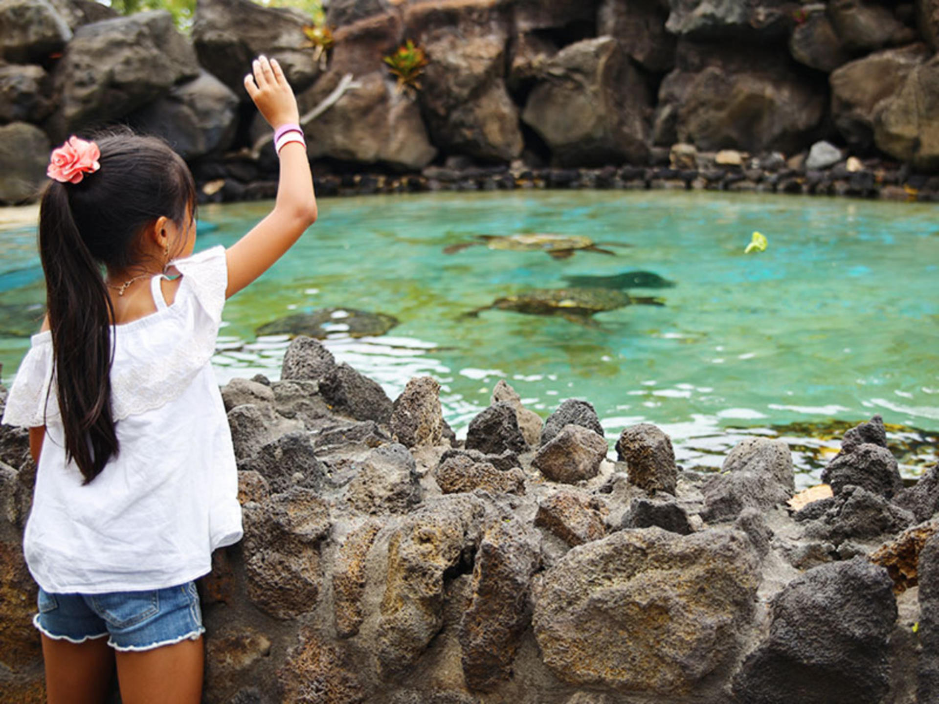 Sea Life Park Hawaii Ticket - Thumbnail 7