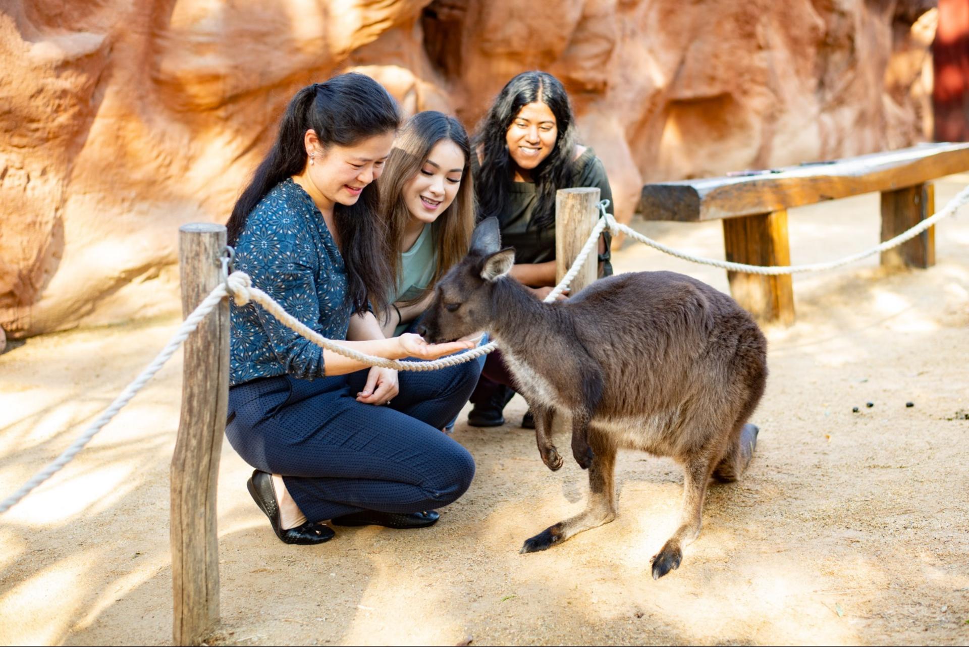 WILD LIFE Sydney Zoo Ticket - Thumbnail 7