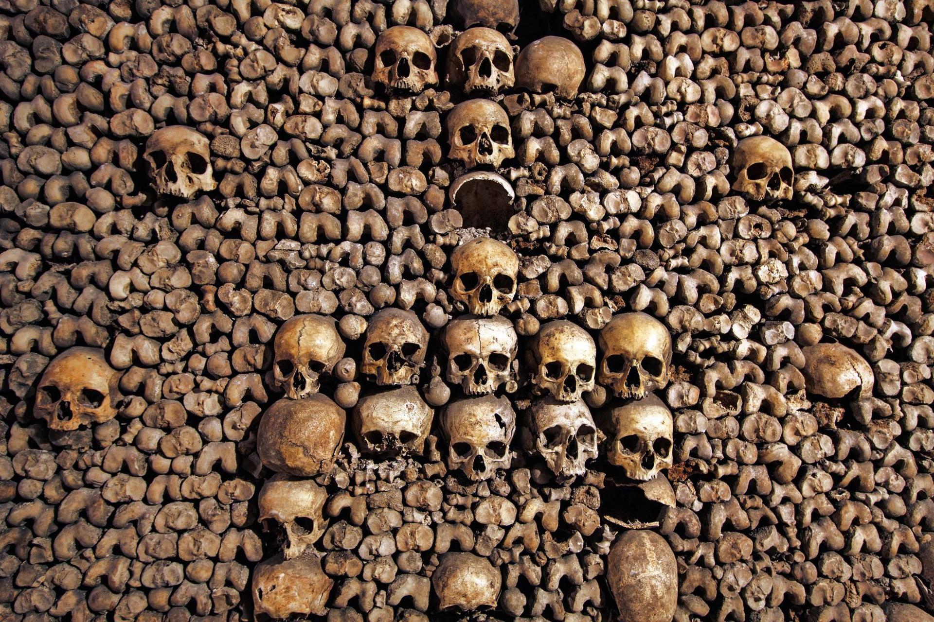 Paris Catacombs Guided Tour with Skip-the-Line & Restricted Areas - Thumbnail 8