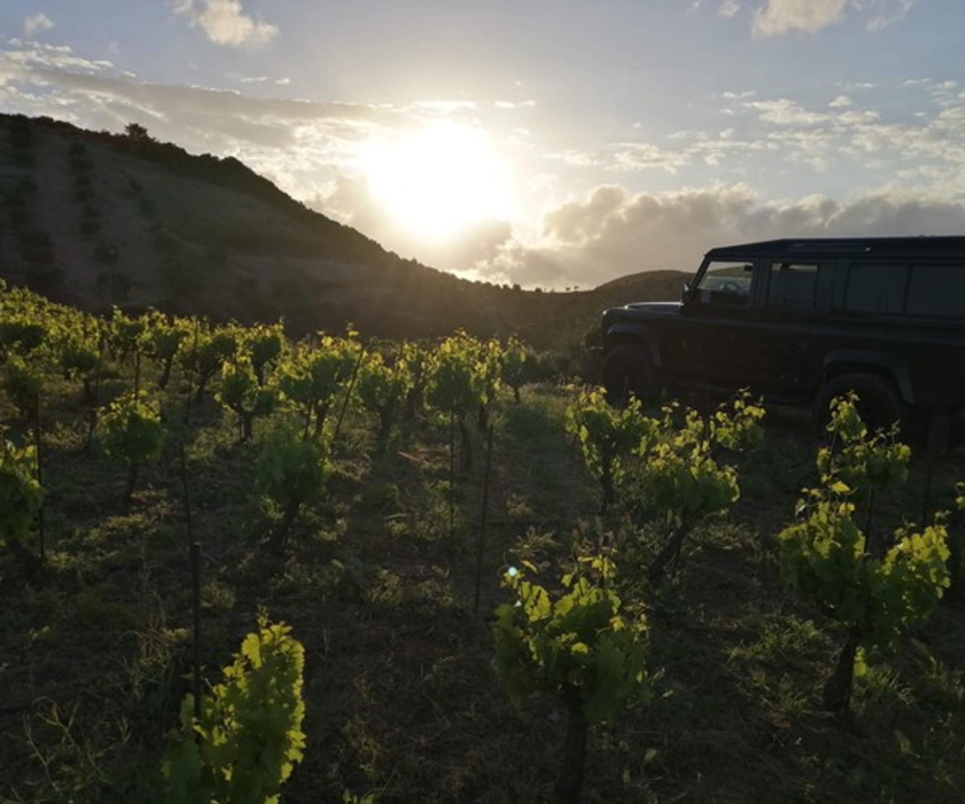 Crete Sunset Safari Tour with Meze and Wine - Thumbnail 3