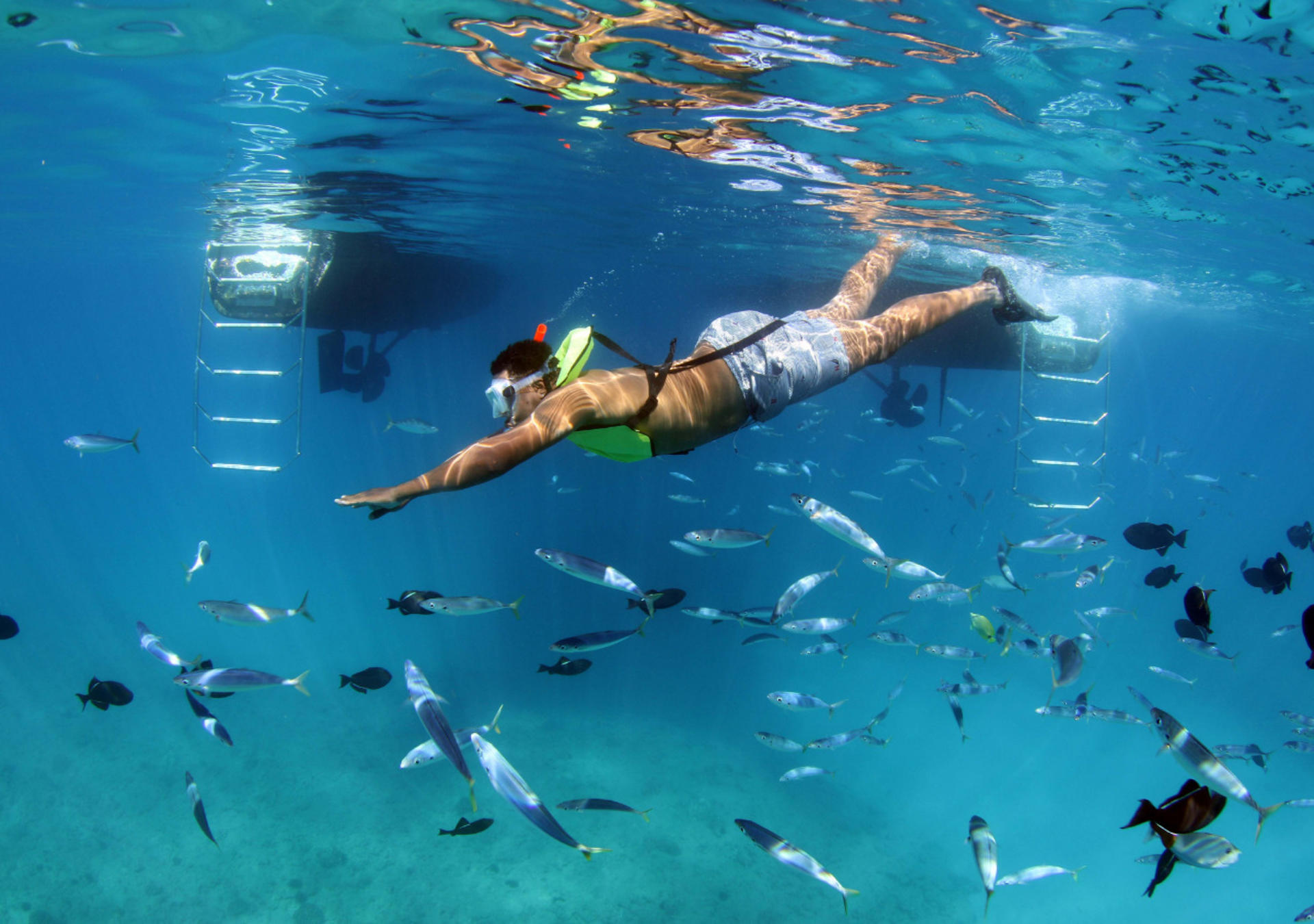 Luxury Afternoon Snorkeling Cruise and Dolphin Watch from Ko Olina - Thumbnail 2