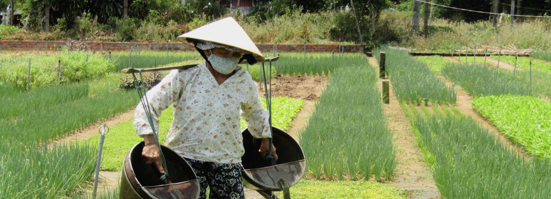 Tra Que, Thanh Ha Pottery, Cam Kim Village Tour with Aodai Rider - Image 1