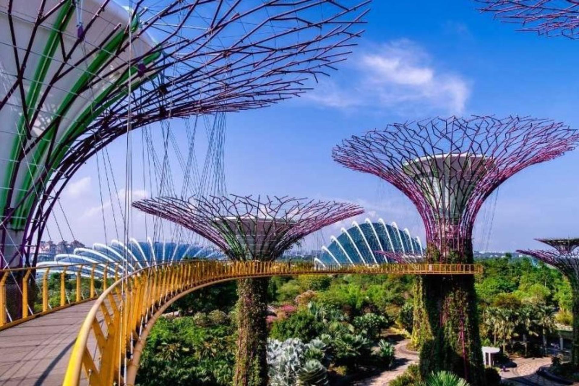 [Klook Exclusive] Singapore Garden City Walking Tour - Thumbnail 5