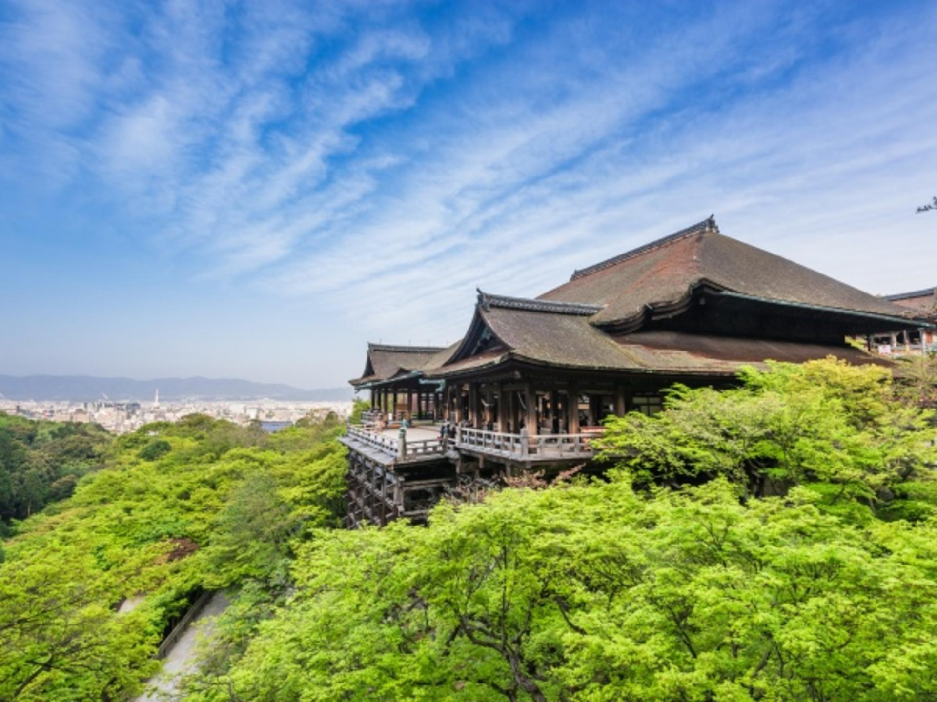 Classic Deep Dive: Kyoto's Japanese Style and Ancient Charm Day Trip - Thumbnail 7