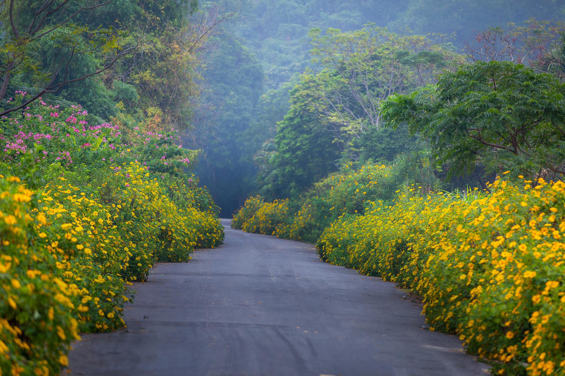 Hanoi Jeep Tour to Ba Vi National Park & Duong Lam Village - Thumbnail 4