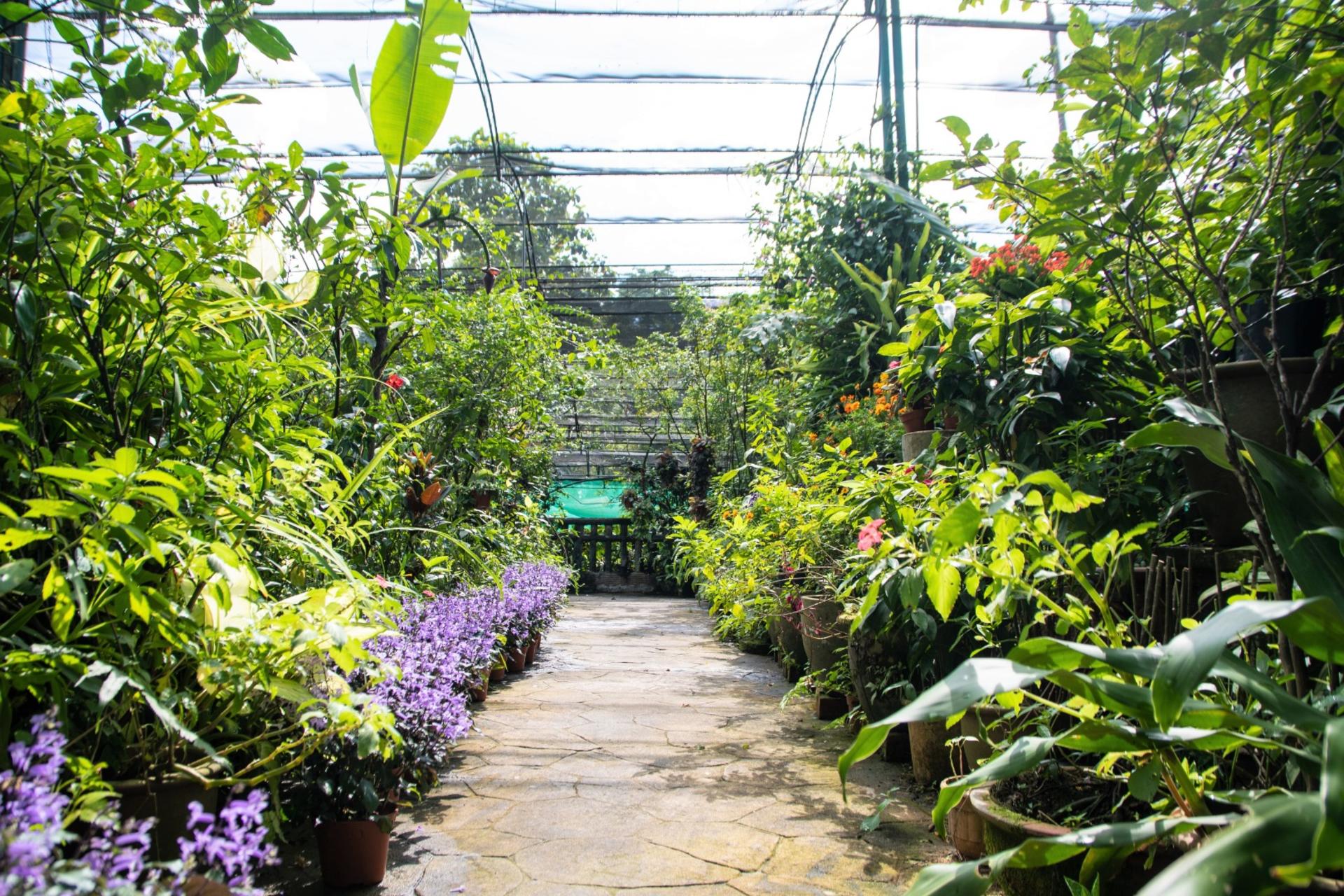 KL Bird Park, Butterfly Park and Garden Tour with Scenic Buggy Ride - Thumbnail 7