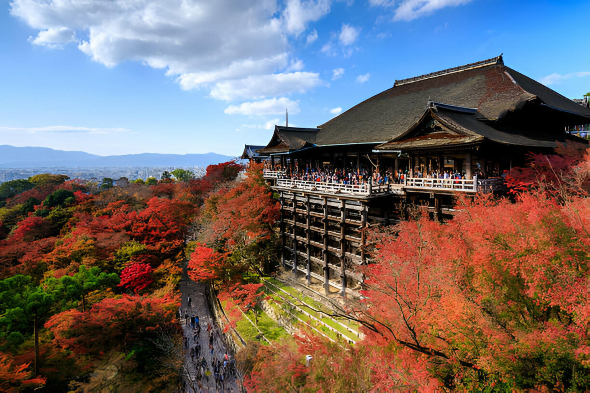 Osaka & Kyoto Full-Day Private Tour with English Driver - Thumbnail 16
