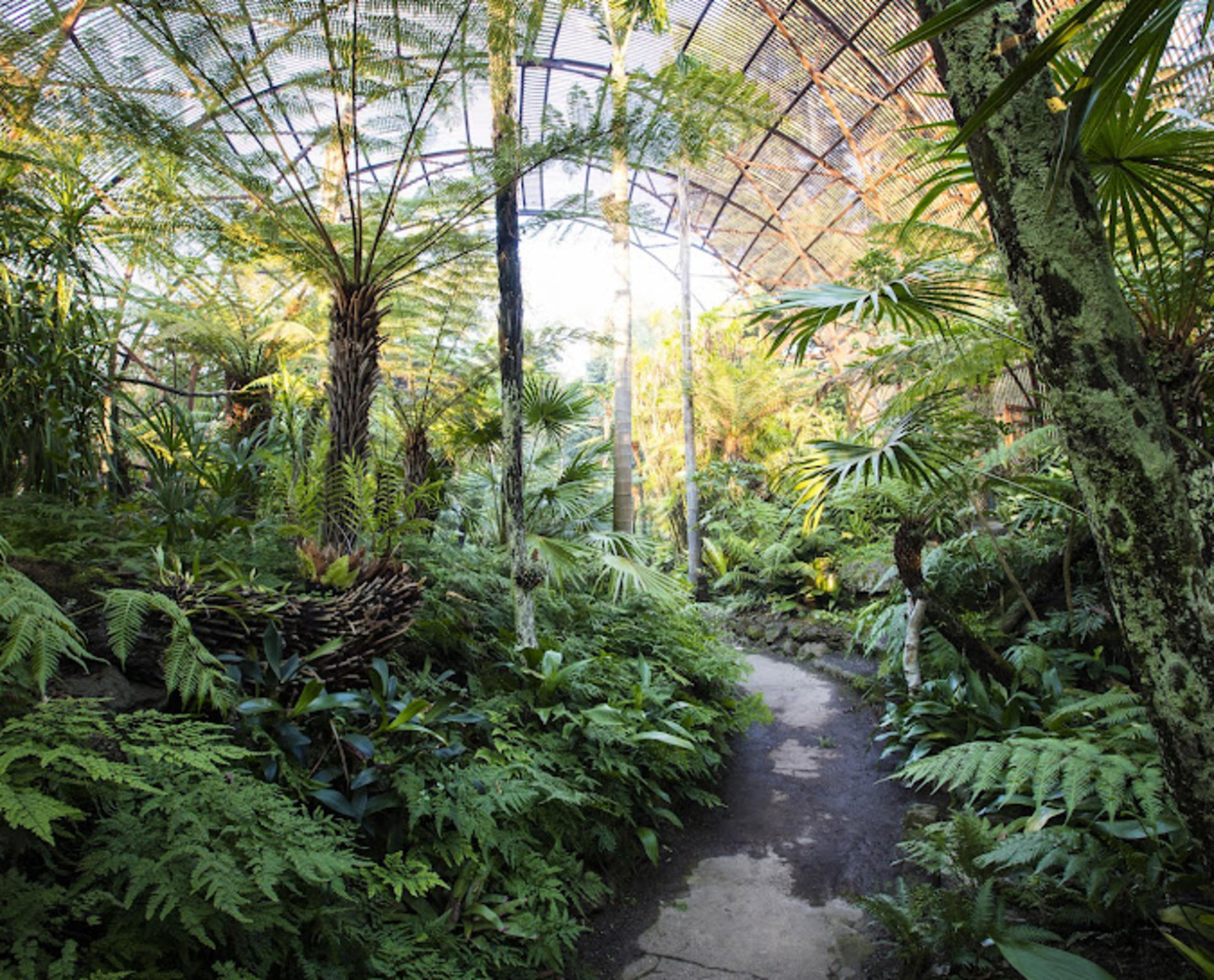 Rippon Lea Estate Ticket - Thumbnail 6