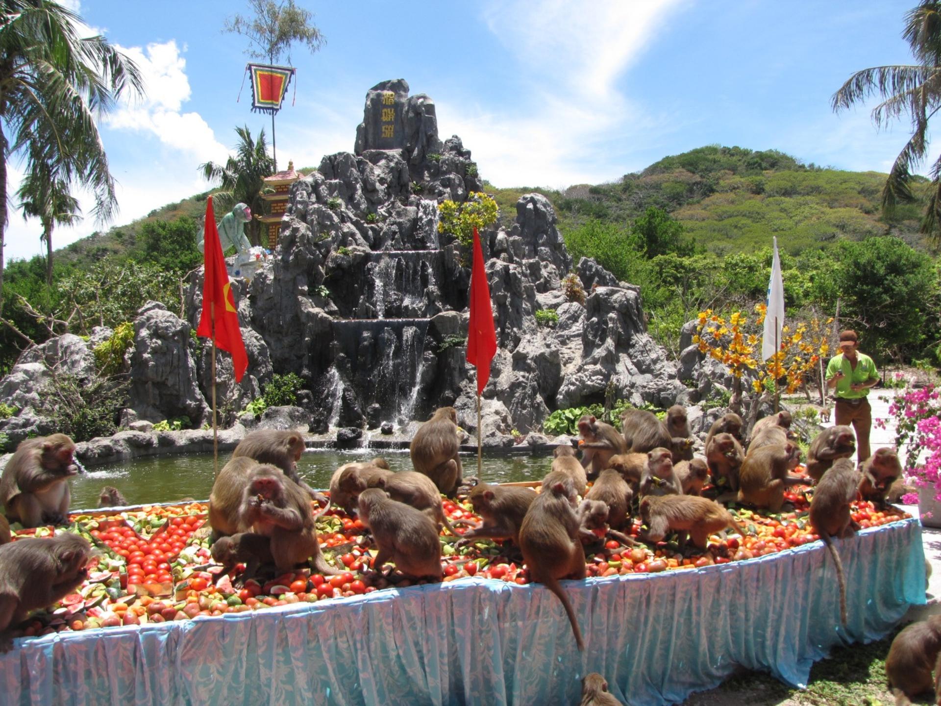 Nha Phu Bay Day Tour - Thumbnail 4