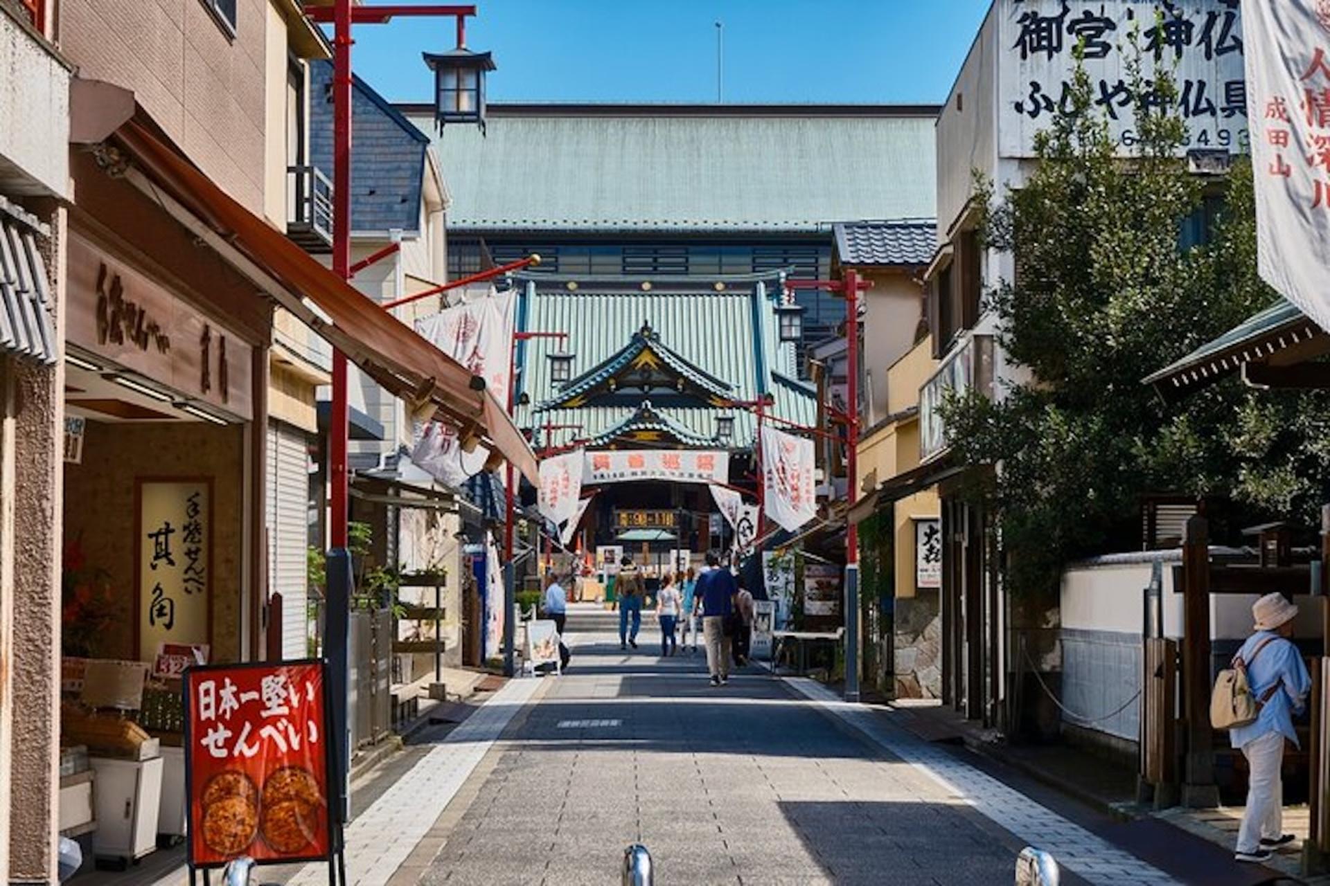 Tokyo: A Cultural Journey and a Little Izakaya Bar Hopping Tour - Image 1