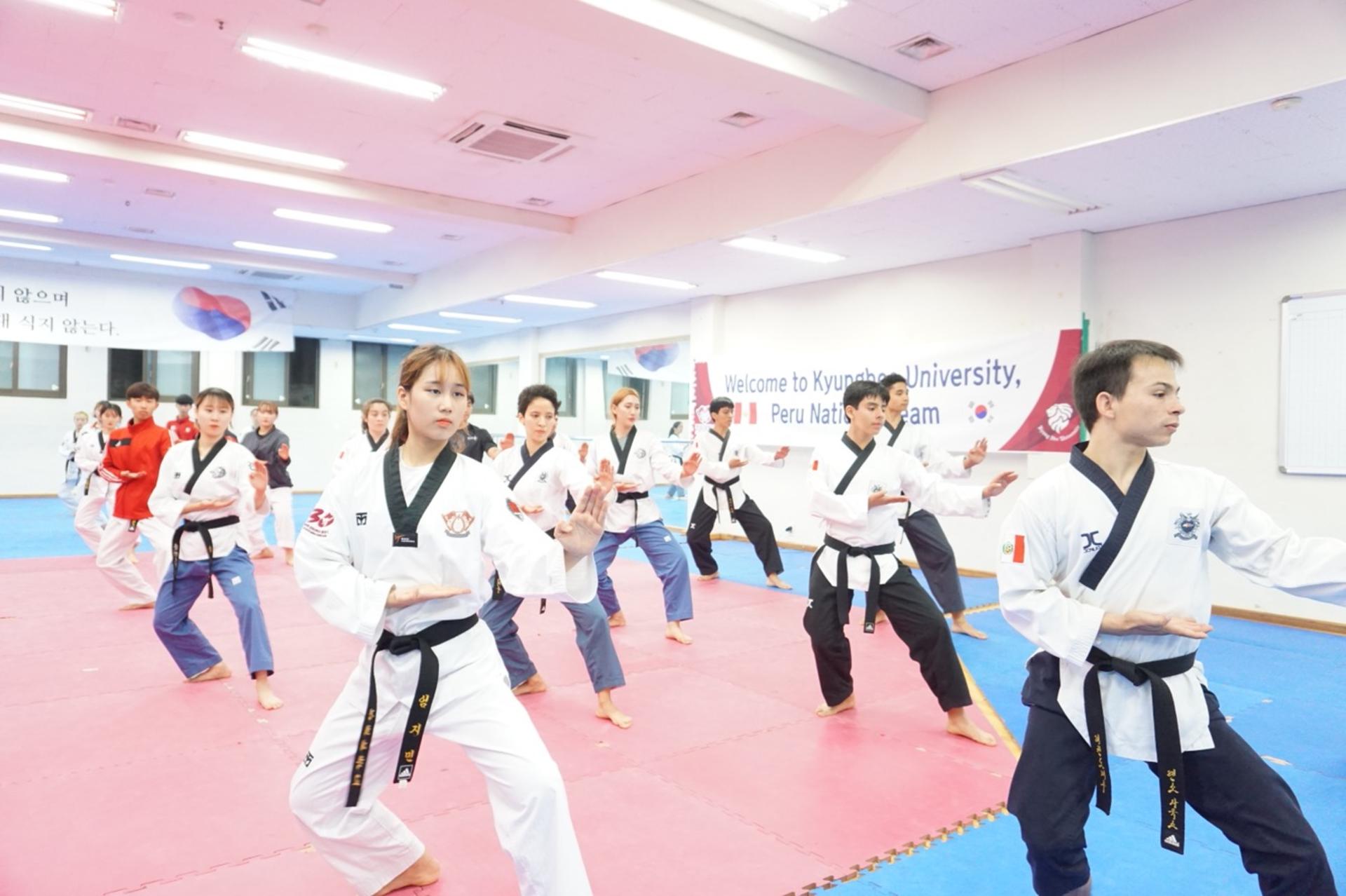 Seoul Korean Traditional Taekwondo One Day Class in Gangnam - Thumbnail 3