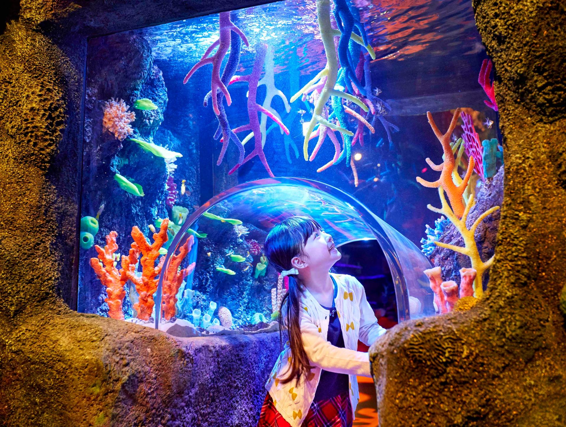SEA LIFE Nagoya Aquarium Ticket - Thumbnail 4