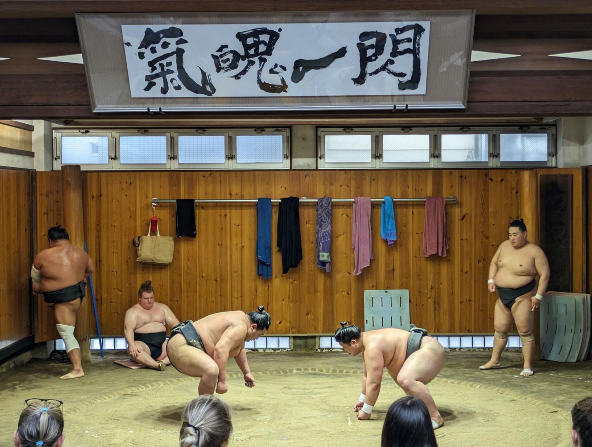 Tokyo Sumo Practice Viewing Guided Tour and Photo with Sumo Wrestler - Thumbnail 9