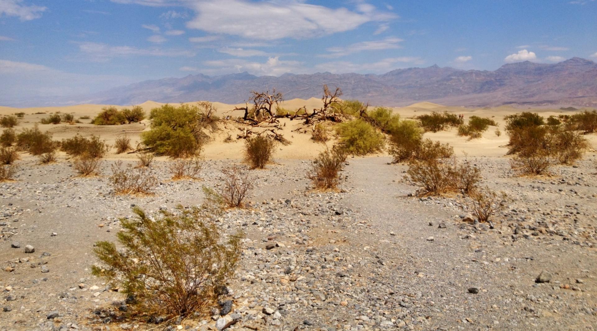 Wild West Ghost Town Explorer Day Tour from Las Vegas - Thumbnail 2