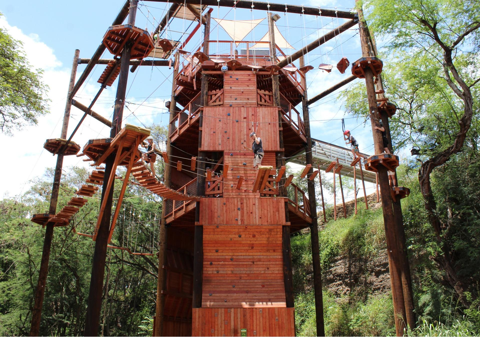 Coral Crater Adventure Tower Admission in Oahu - Thumbnail 5