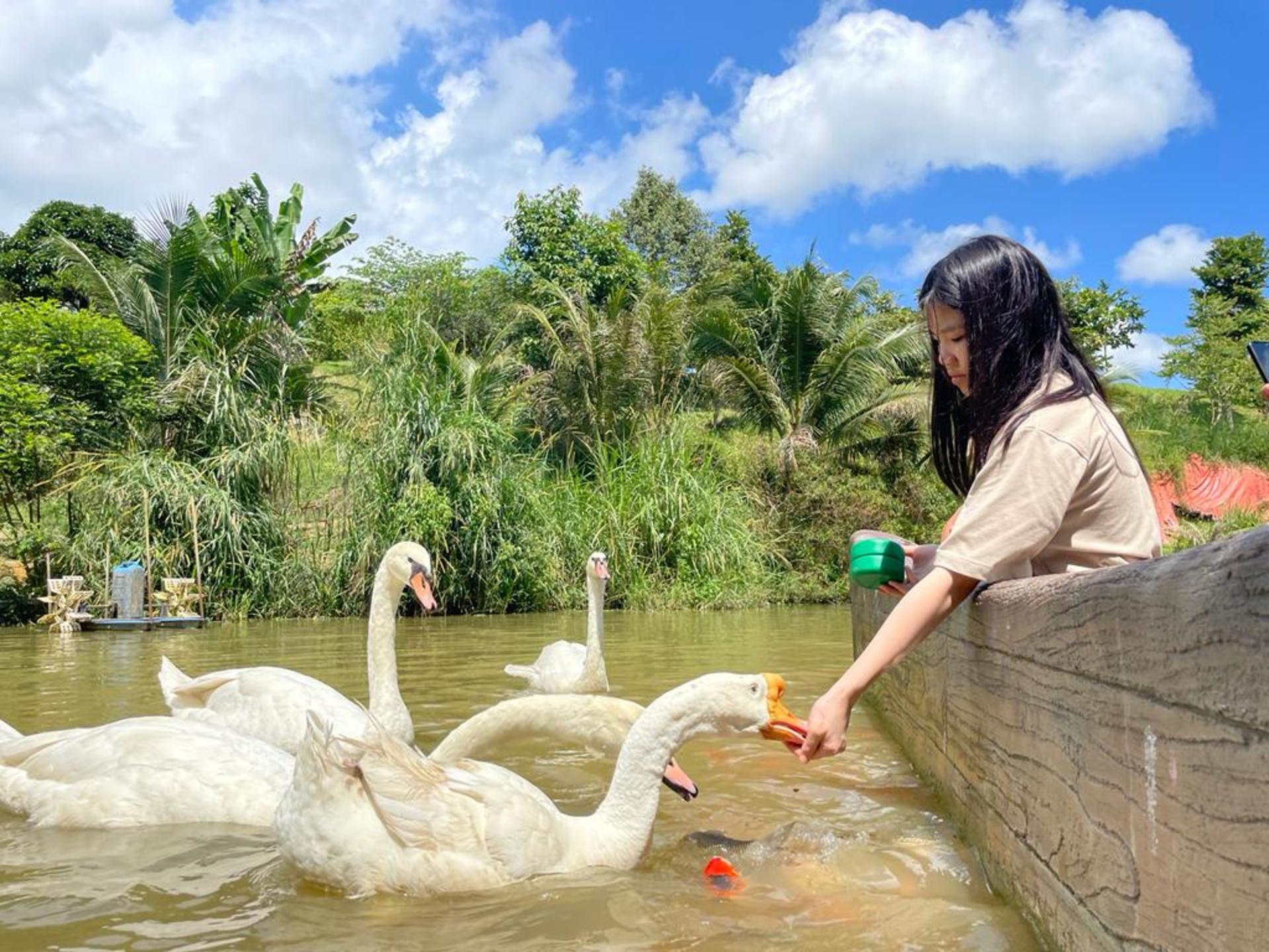 The Bentong Farm Ticket in Pahang - Thumbnail 9
