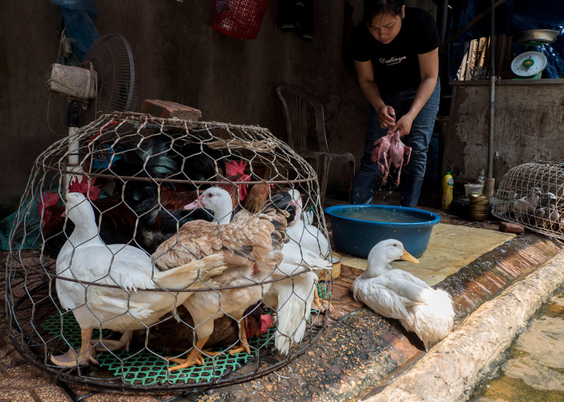 Ultimate Hanoi Photography Guide Tour - Thumbnail 3