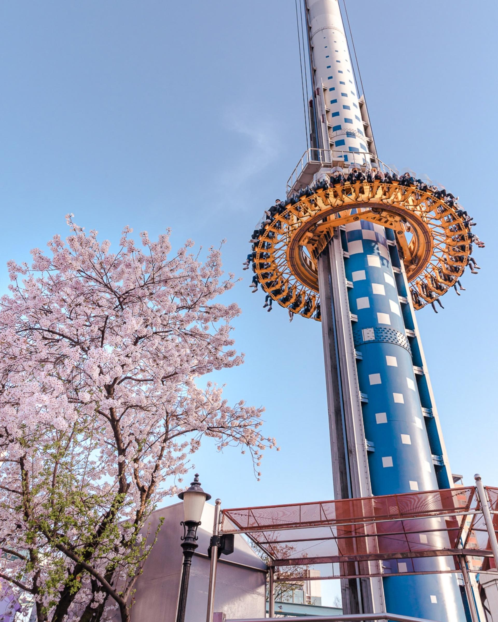 Lotte World Ticket in Seoul - Thumbnail 26