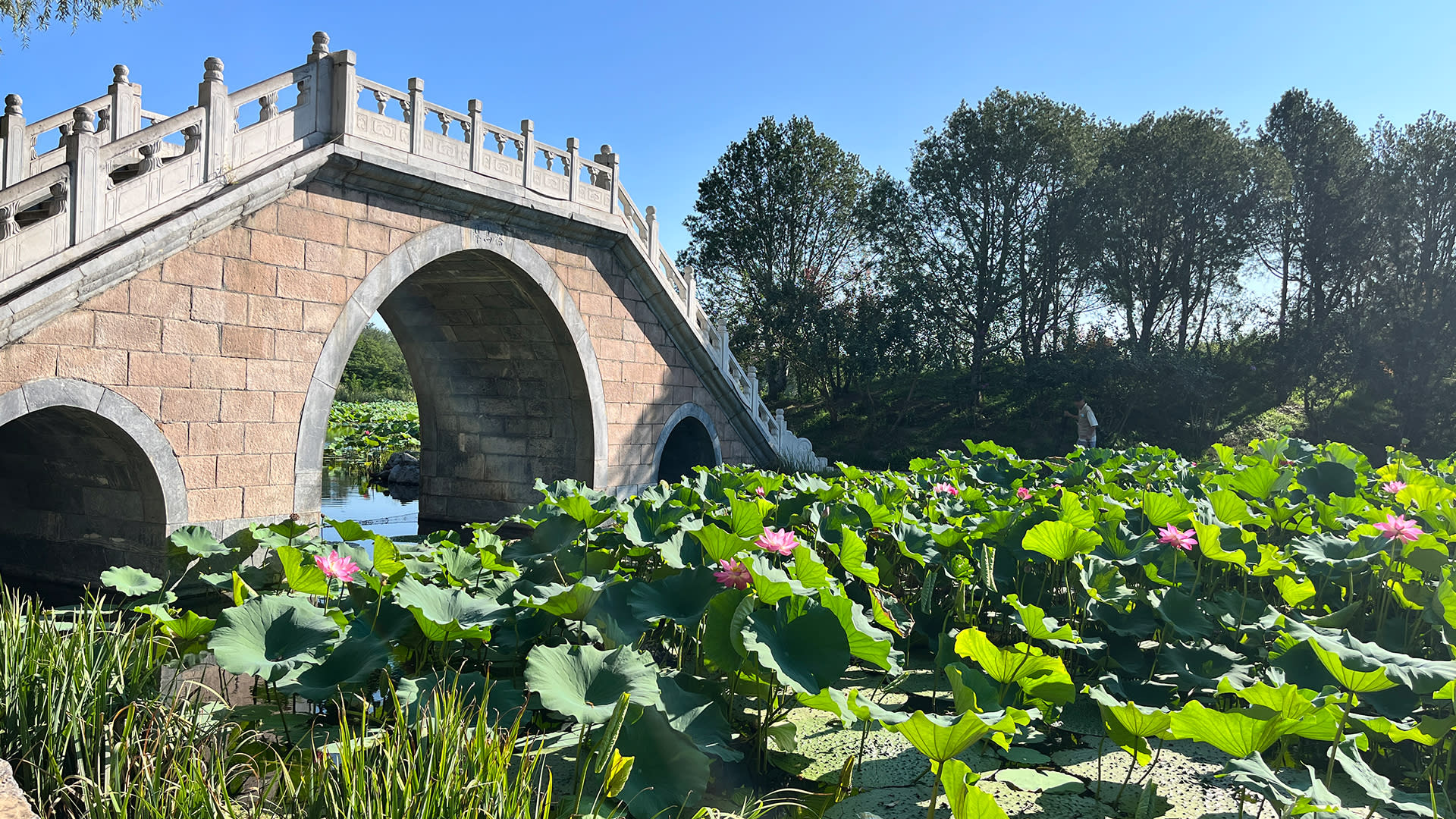 Beijing Summer Palace Half-Day Tour with Guide - Thumbnail 4