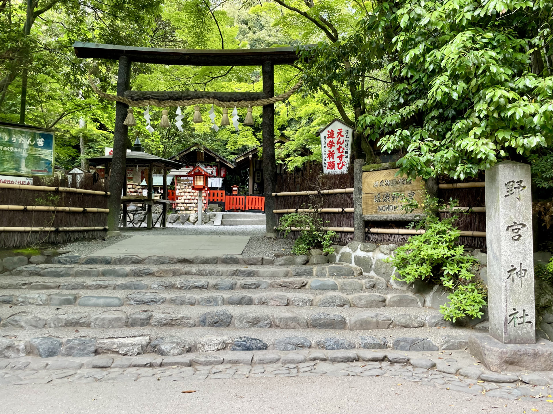 Kyoto: Arashiyama Unveiled – Bamboo, Temple, Matcha, Monkeys - Thumbnail 20