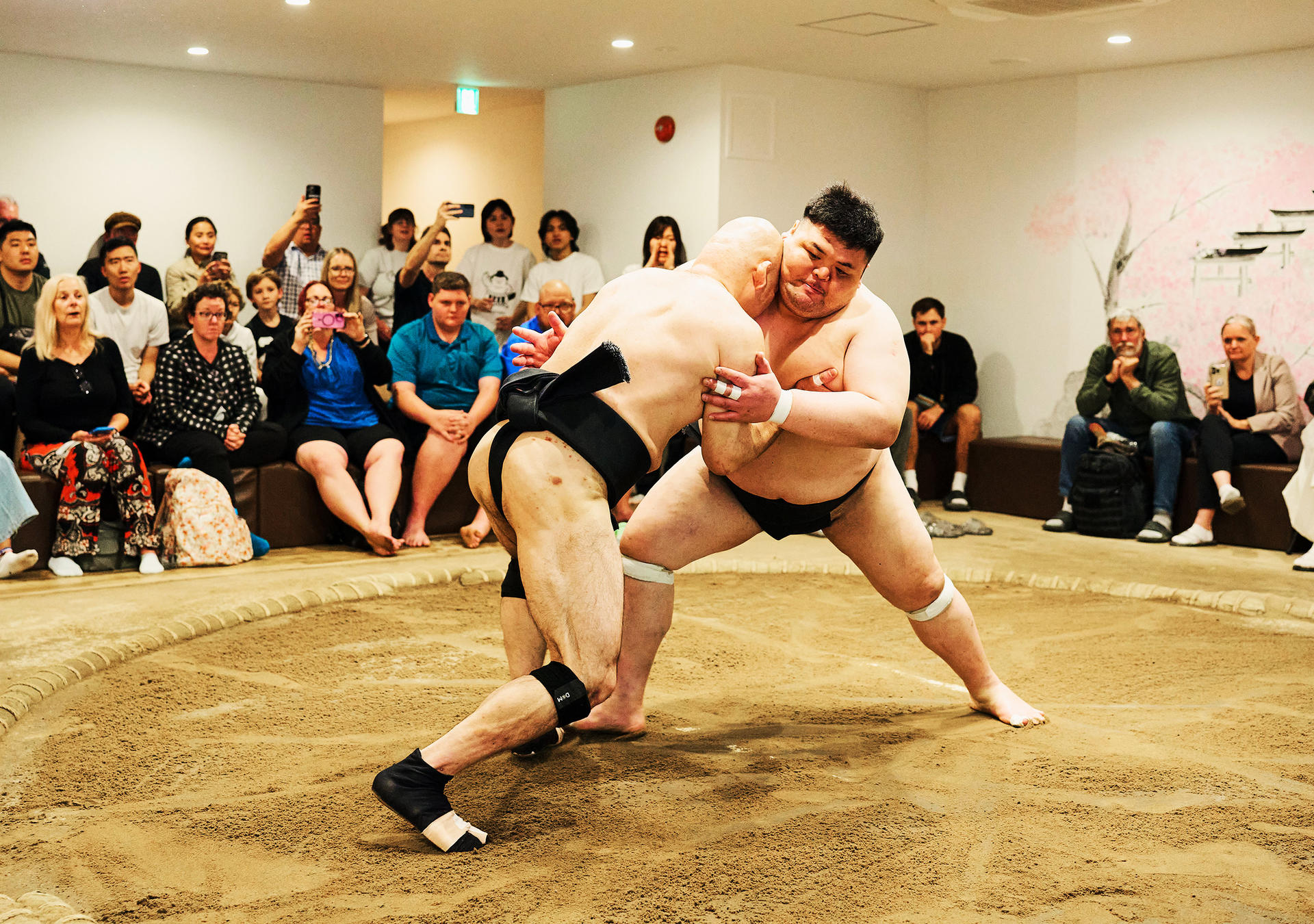 Osaka: Sumo Show with Live Match & Audience Challenge - Image 1
