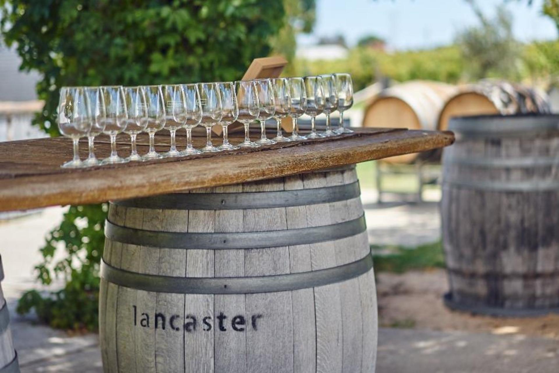 Swan Valley Guided Wine Tour - Thumbnail 9
