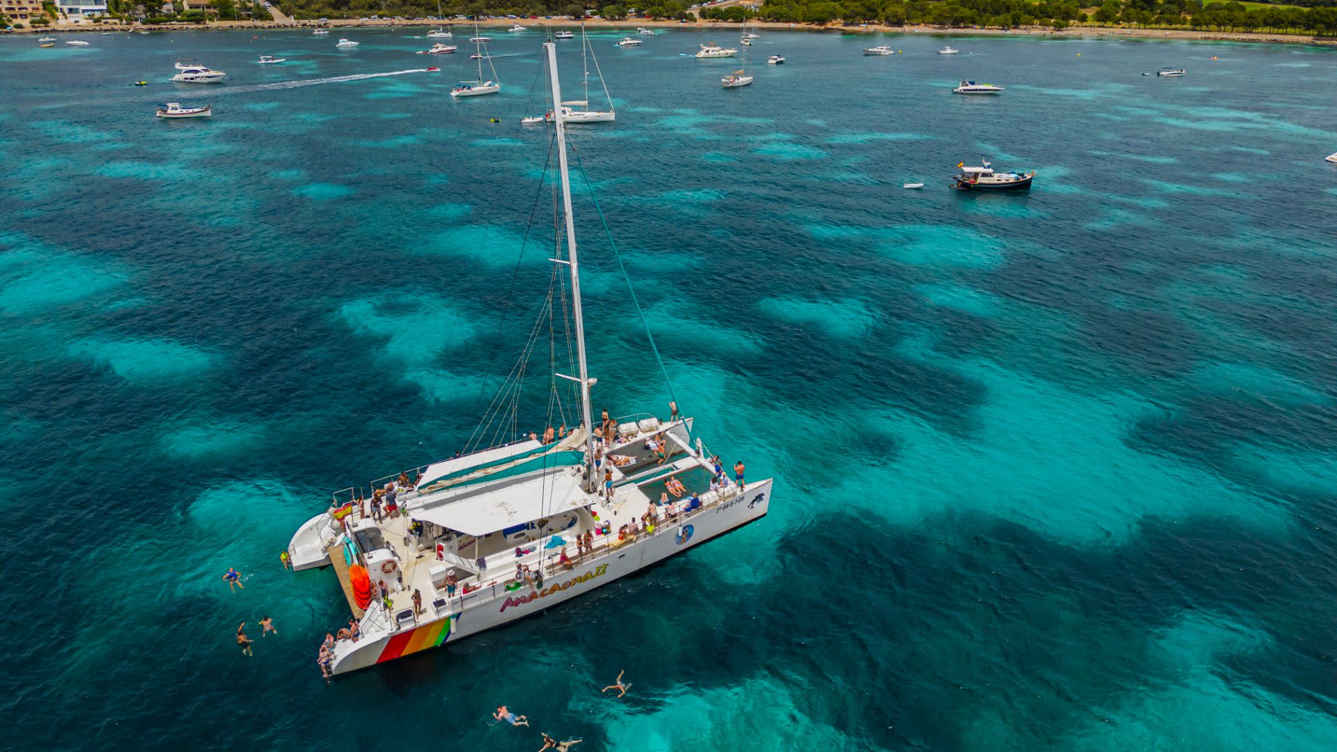 North Coast catamaran cruise experience with meal in  Alcudia - Thumbnail 6