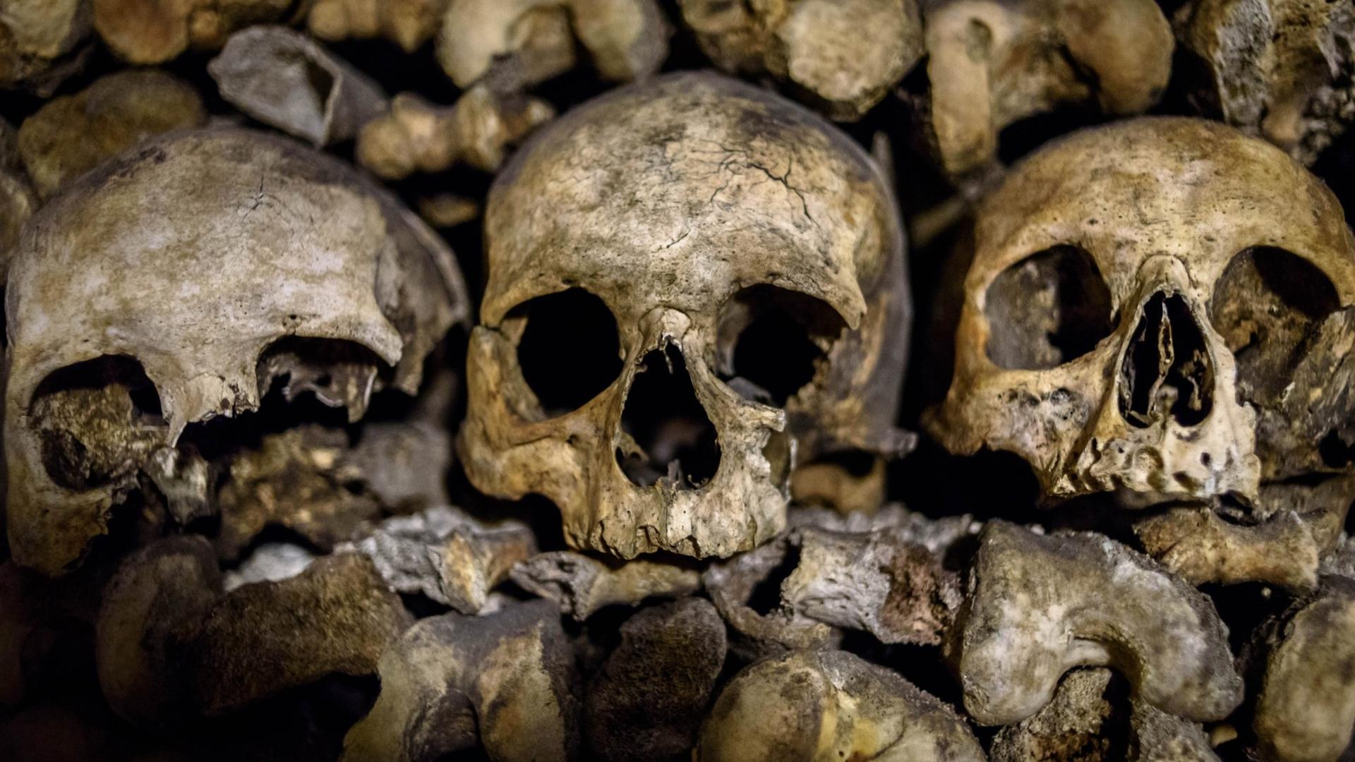 Paris Catacombs Guided Tour with Skip-the-Line & Restricted Areas - Thumbnail 6