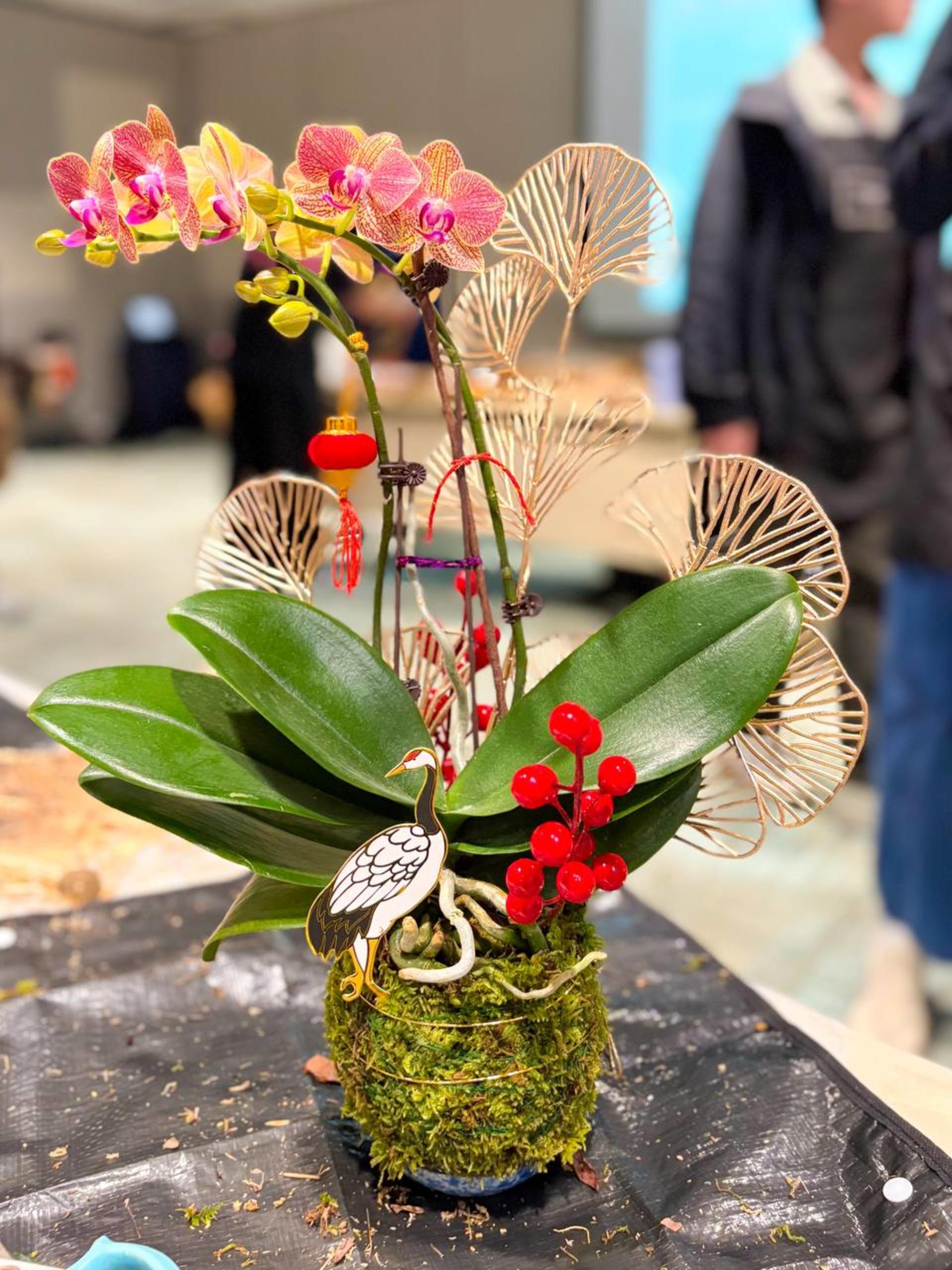 Kokedama Workshop - Thumbnail 24