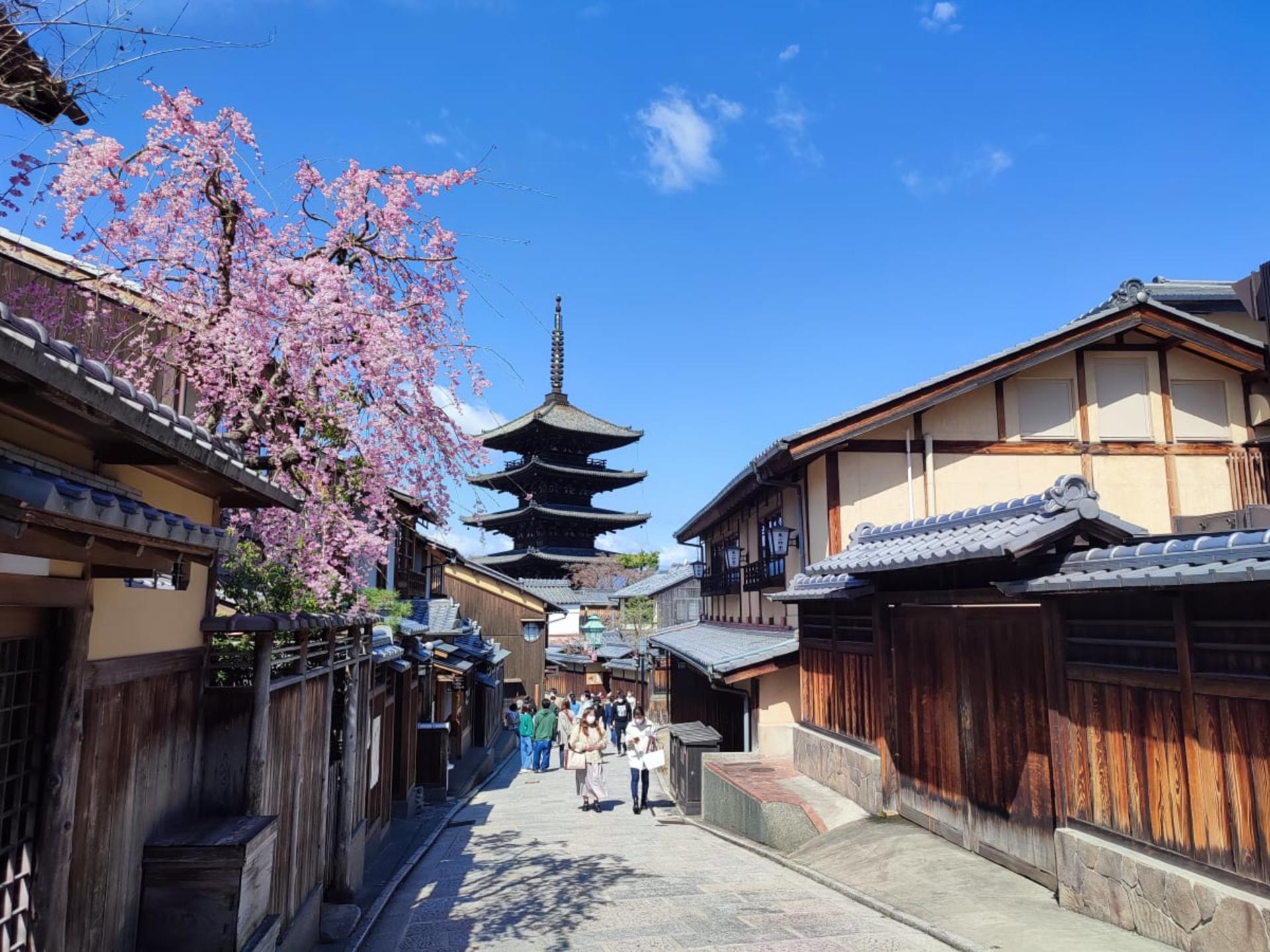 [Tasty Tours Japan]Kyoto Like a Local: Private Walking & E-Bike Tour - Thumbnail 34