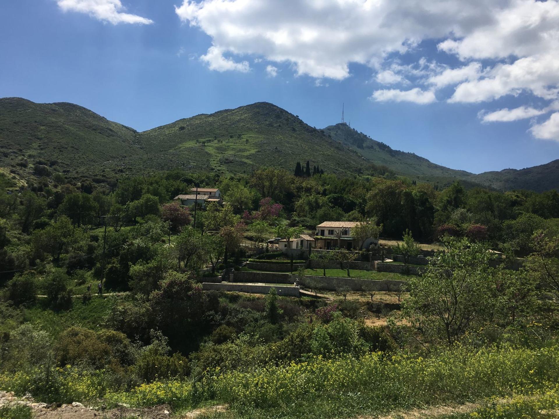 Corfu Full-Day Historical Olive Groves Discovery - Thumbnail 13