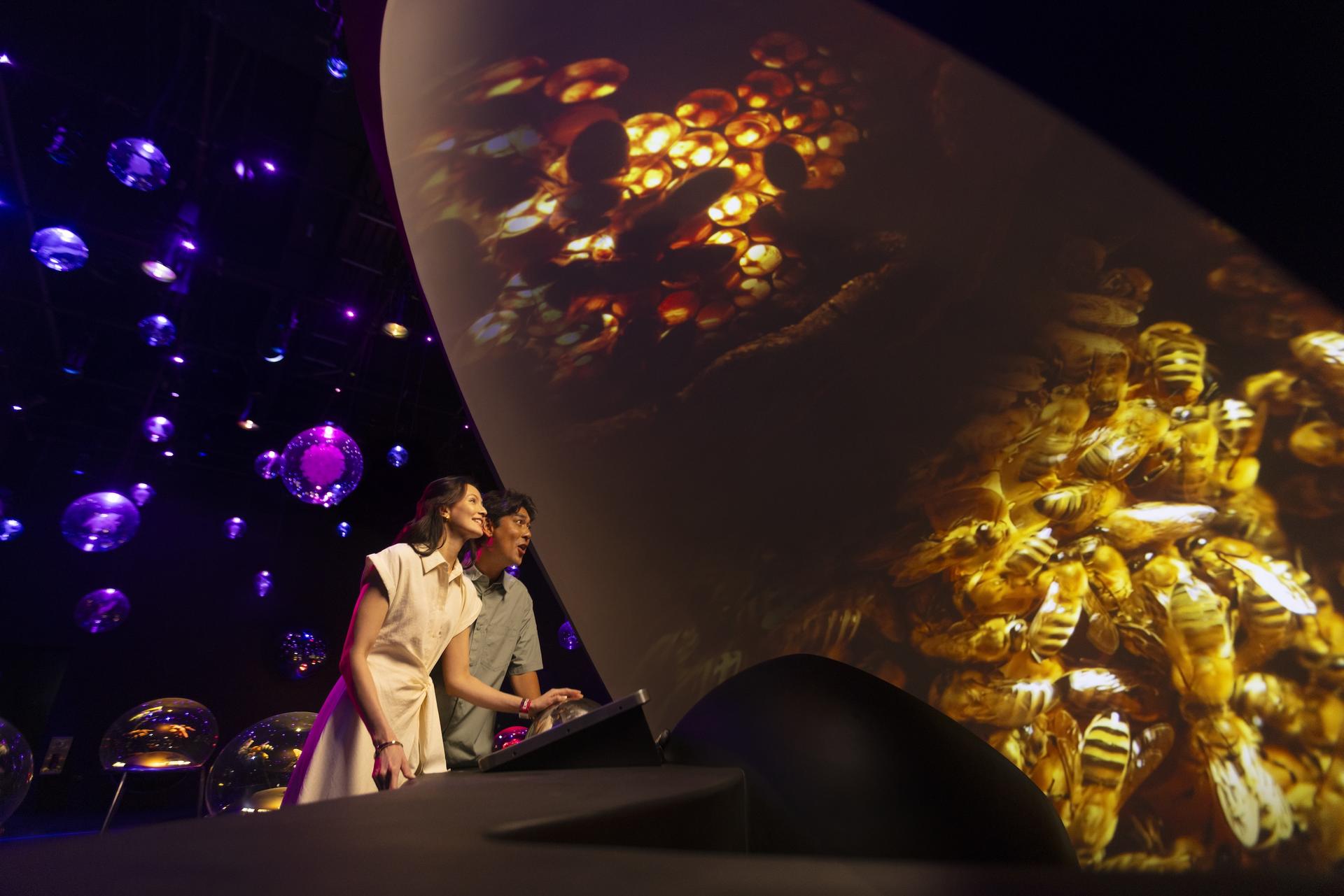 Exploria Ticket | Mandai Wildlife Reserve, Singapore - Image 1