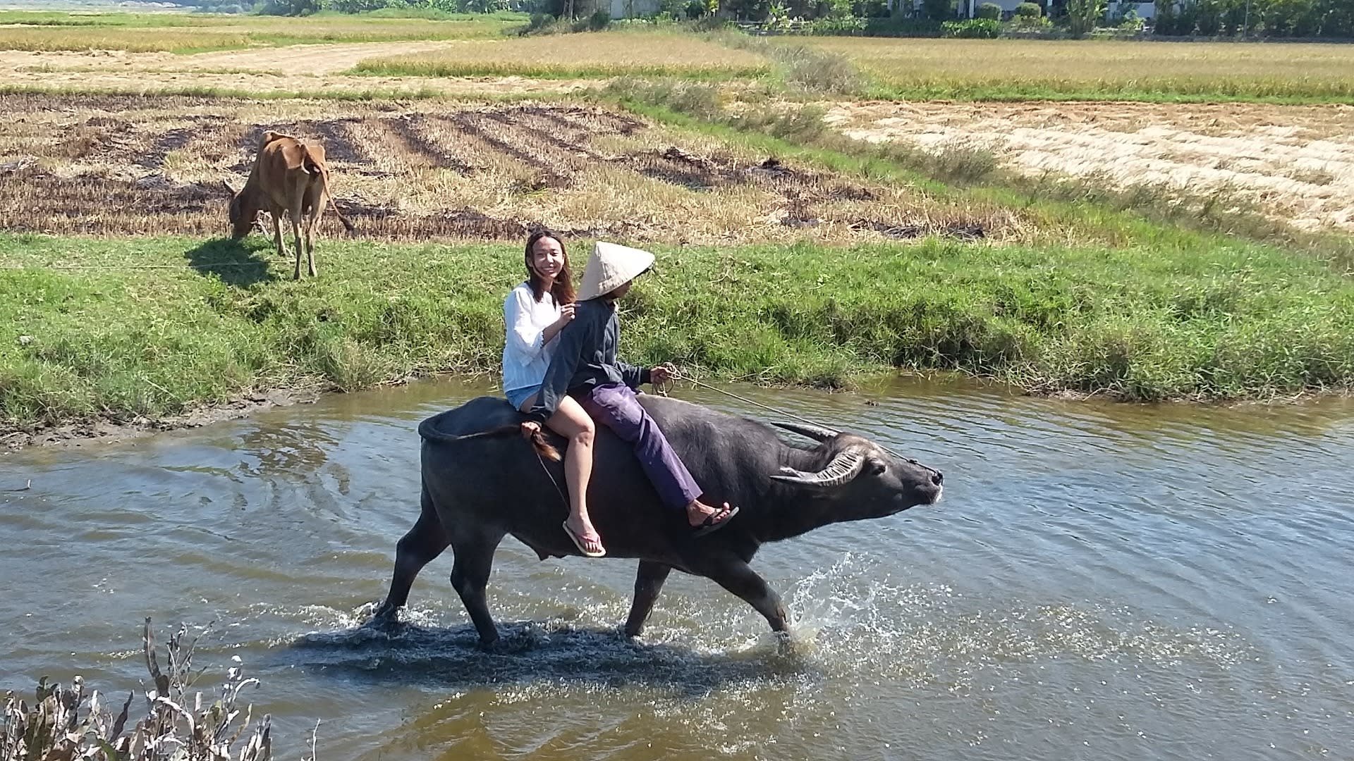 Hoi An City and Countryside Tour - Thumbnail 3