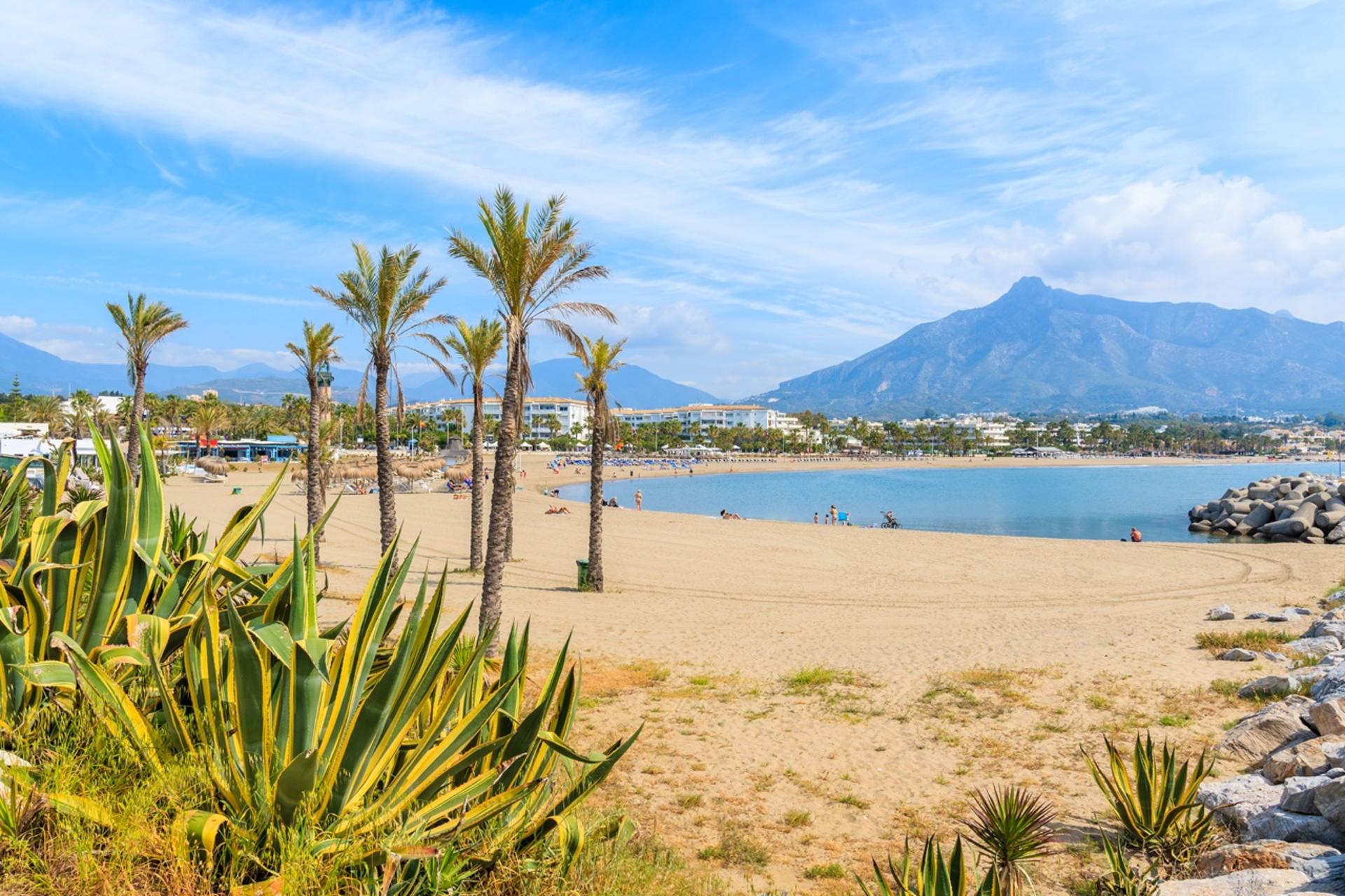 Marbella & Puerto Banús: Coastal Glamour Private Tour from Malaga - Thumbnail 4