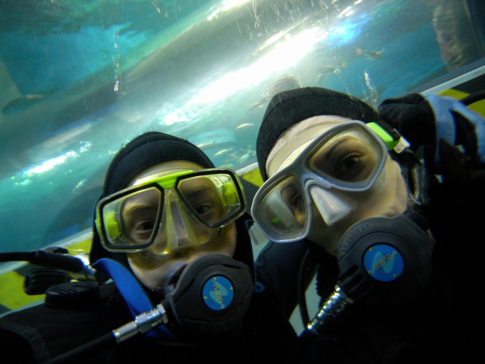 SEA LIFE Melbourne Aquarium Shark Dive Xtreme Experience - Thumbnail 2