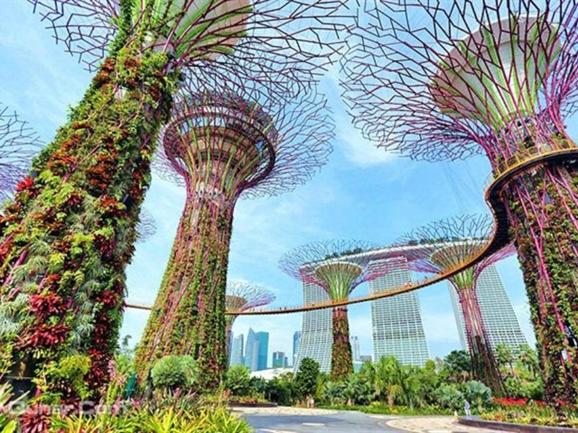 Singapore Gardens by the Bay & Marina Bay Sands Half-Day Tour with Dinner - Thumbnail 5