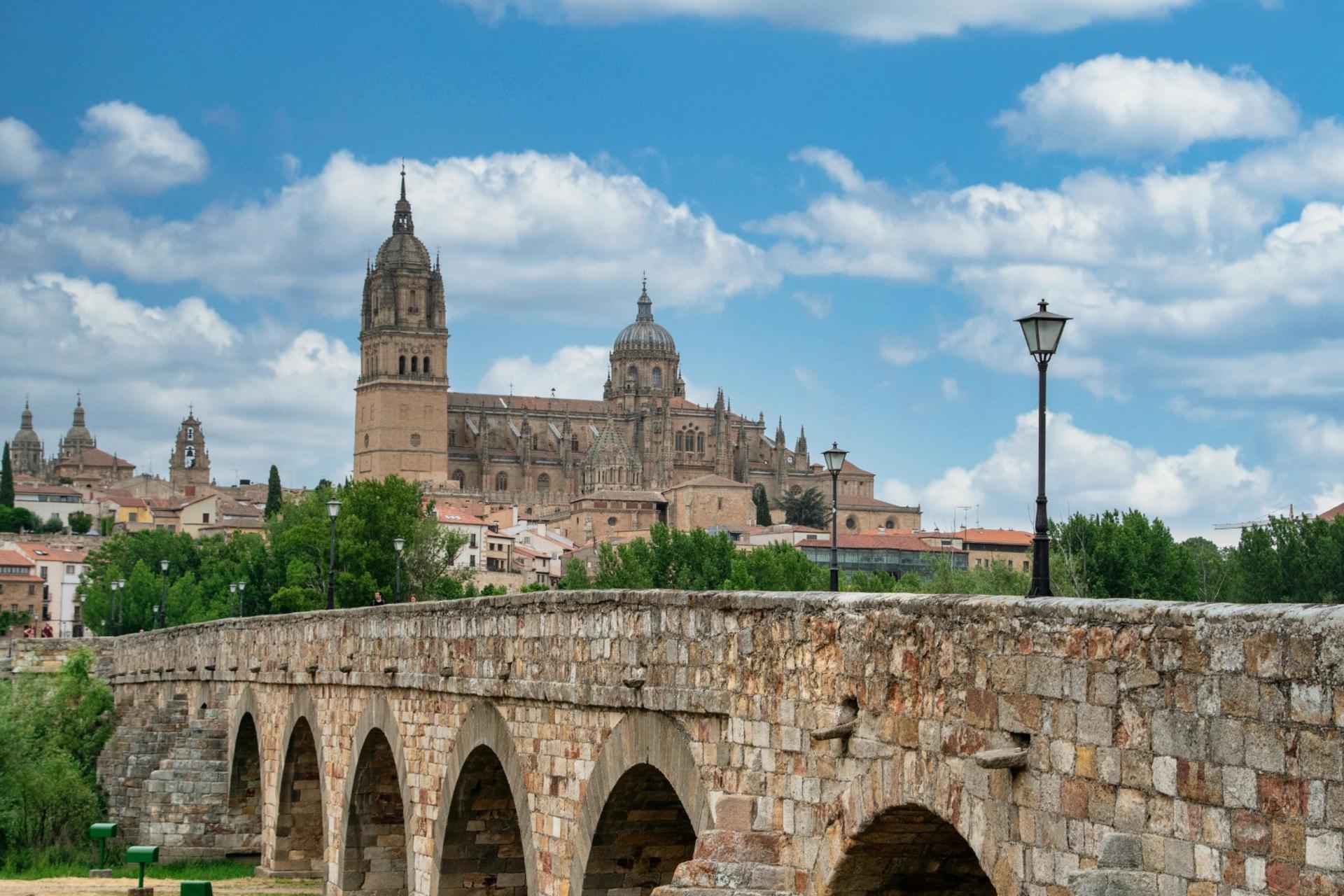 Discover Salamanca : Spain's Golden City Walking Tour  - Thumbnail 9