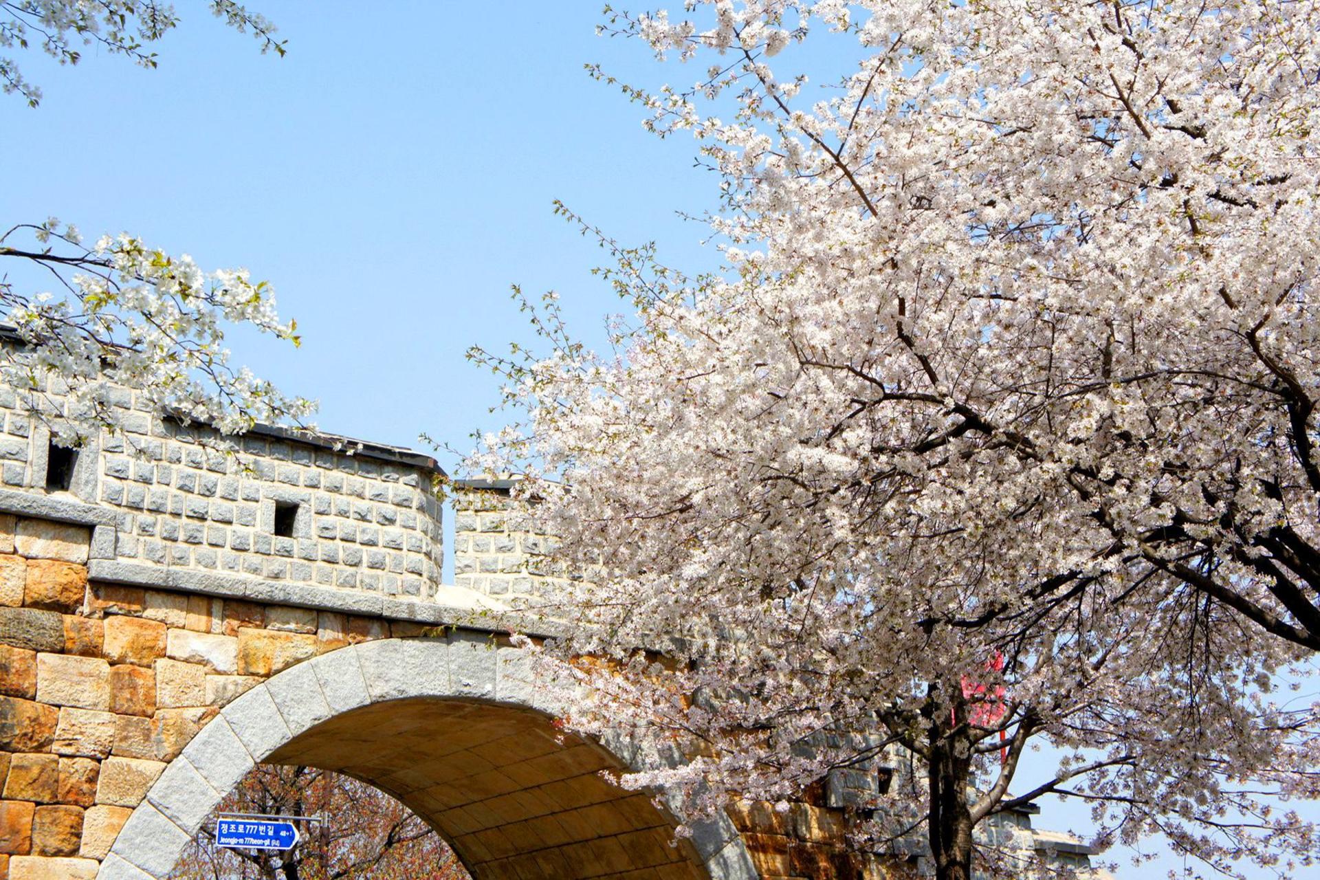 Suwon Private Tour | Day & Night Experience with Photographer Option - Thumbnail 6
