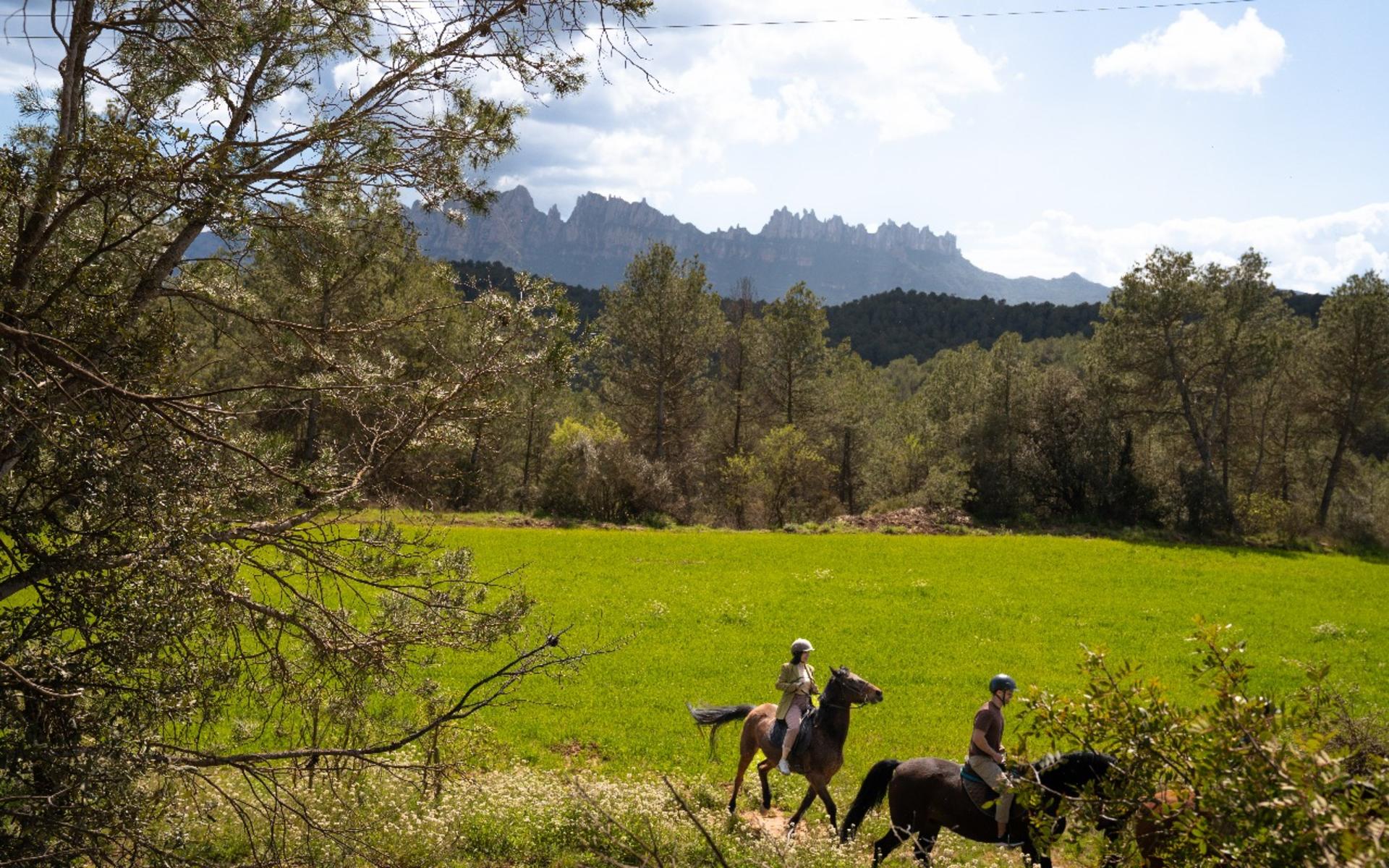 Montserrat Horse Riding Experience  - Thumbnail 8