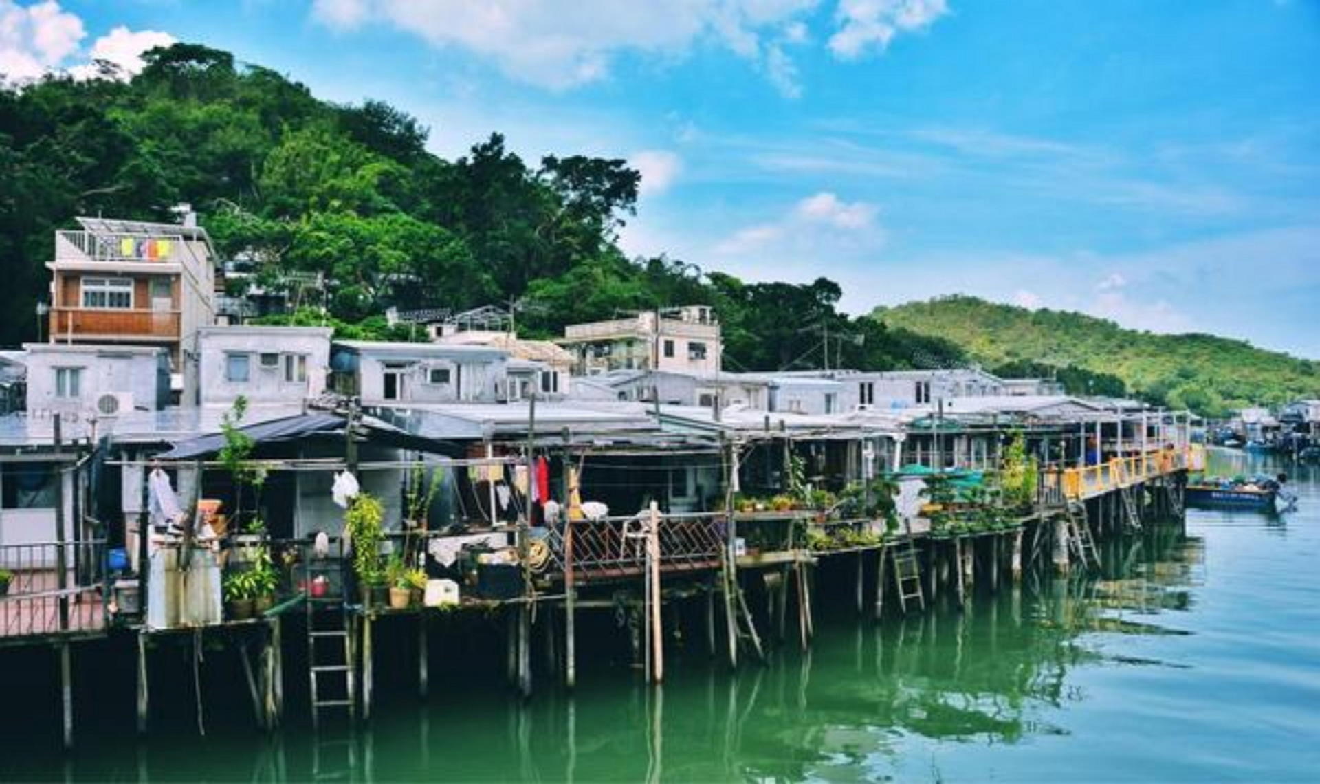 Luxury Lantau Tour with Crystal Cable Car, Tai O boat, hotel pick up - Thumbnail 8